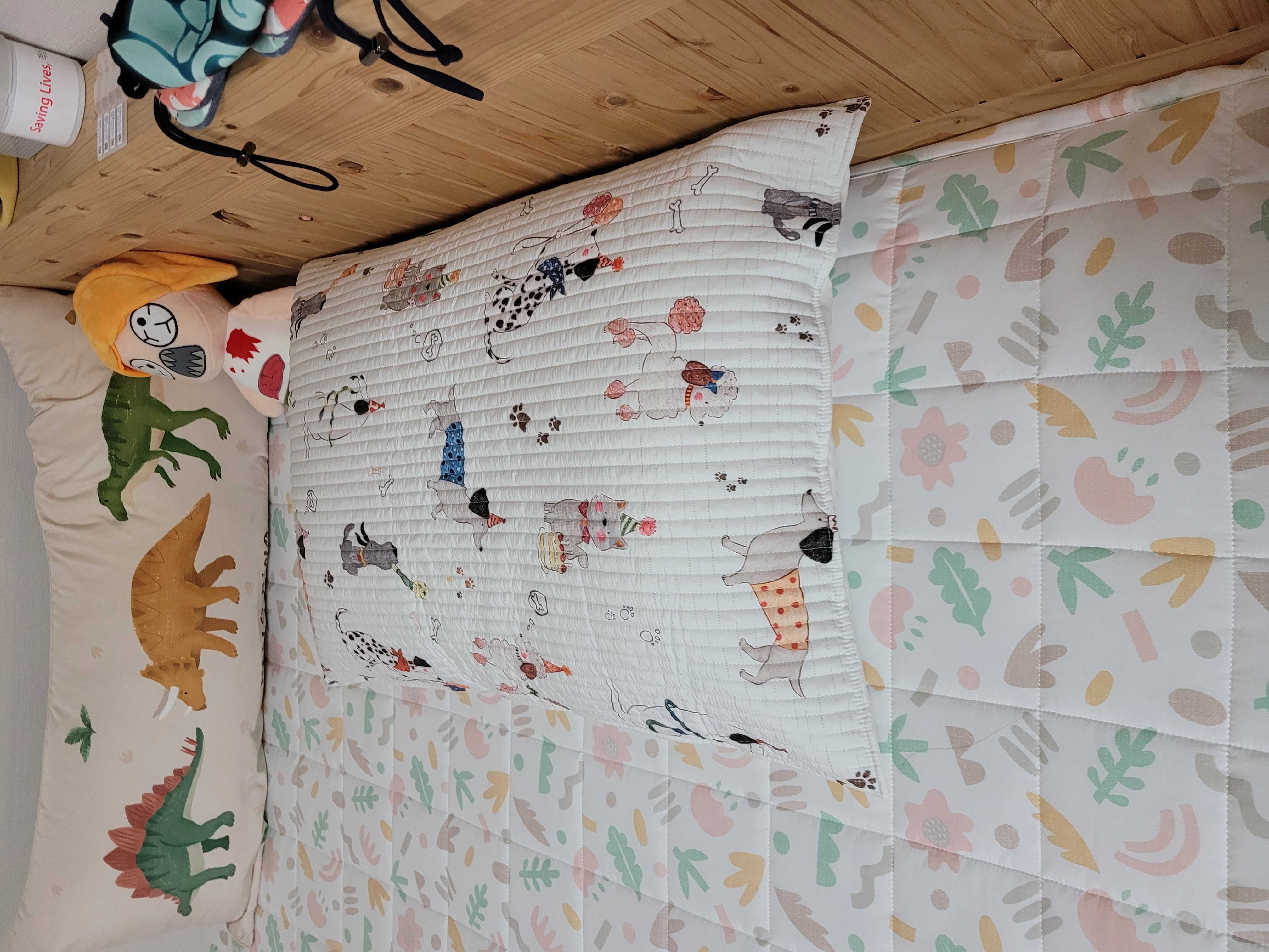 이미지를 찾을 수 없습니다.