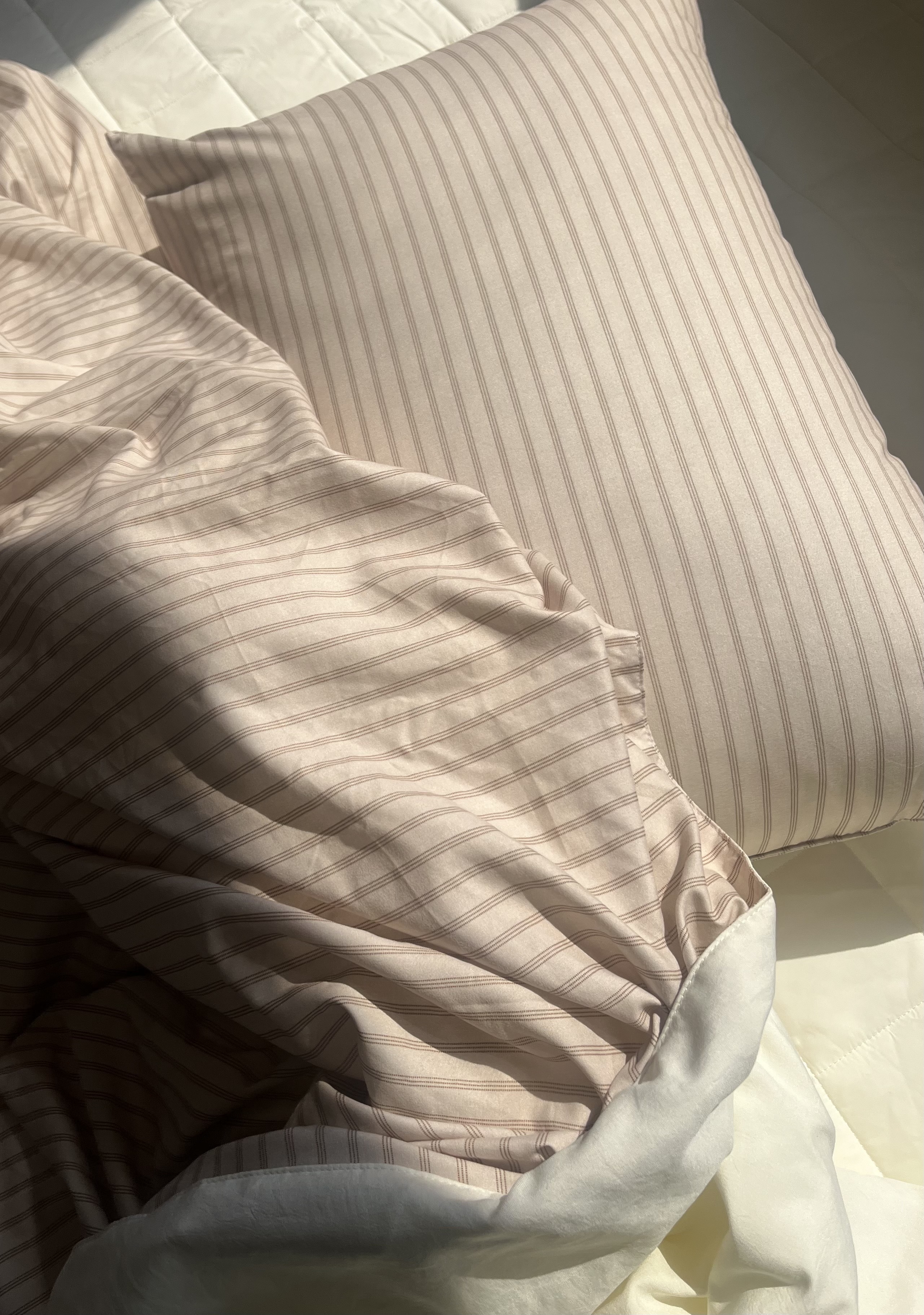 이미지를 찾을 수 없습니다.