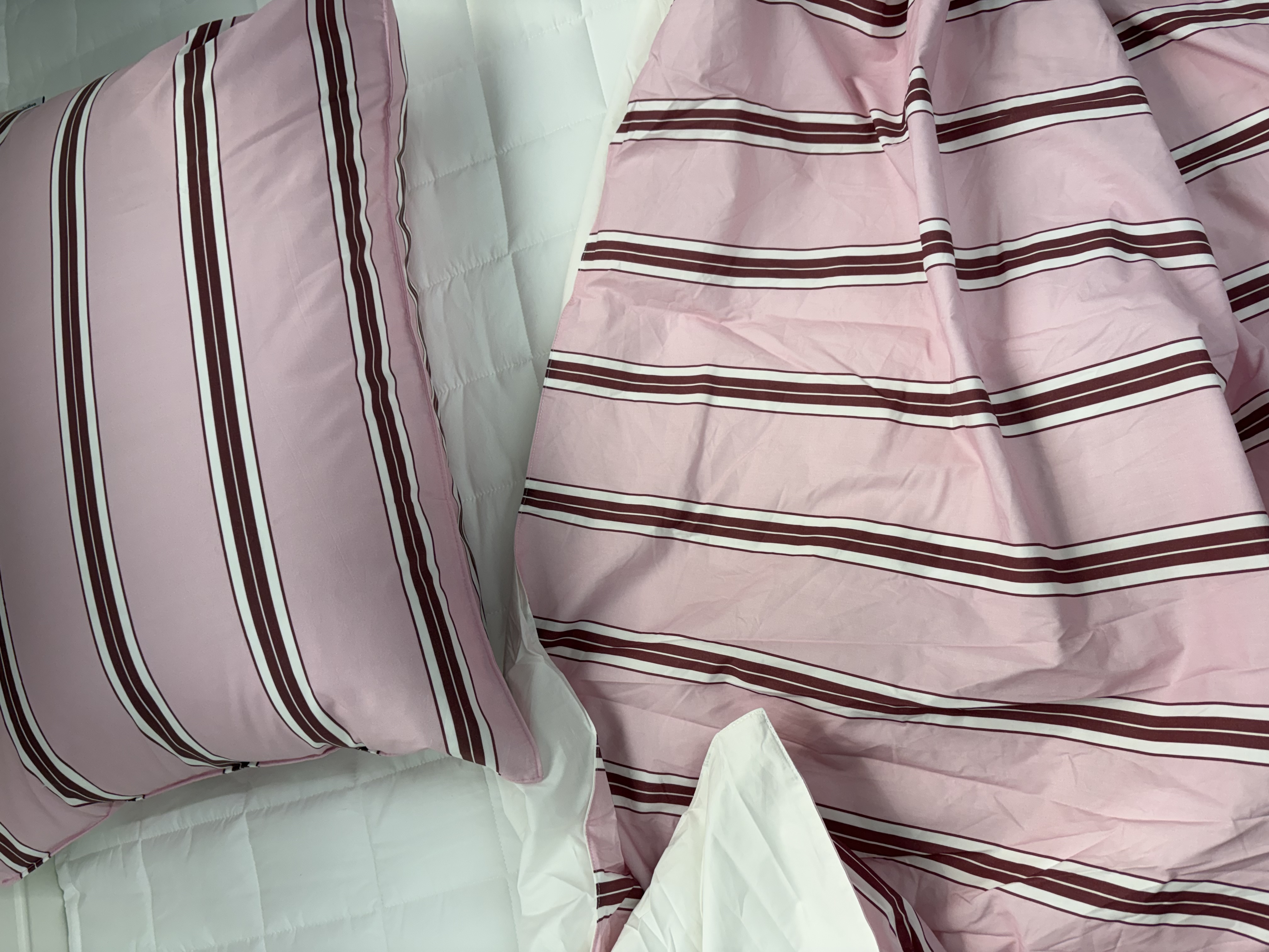 이미지를 찾을 수 없습니다.