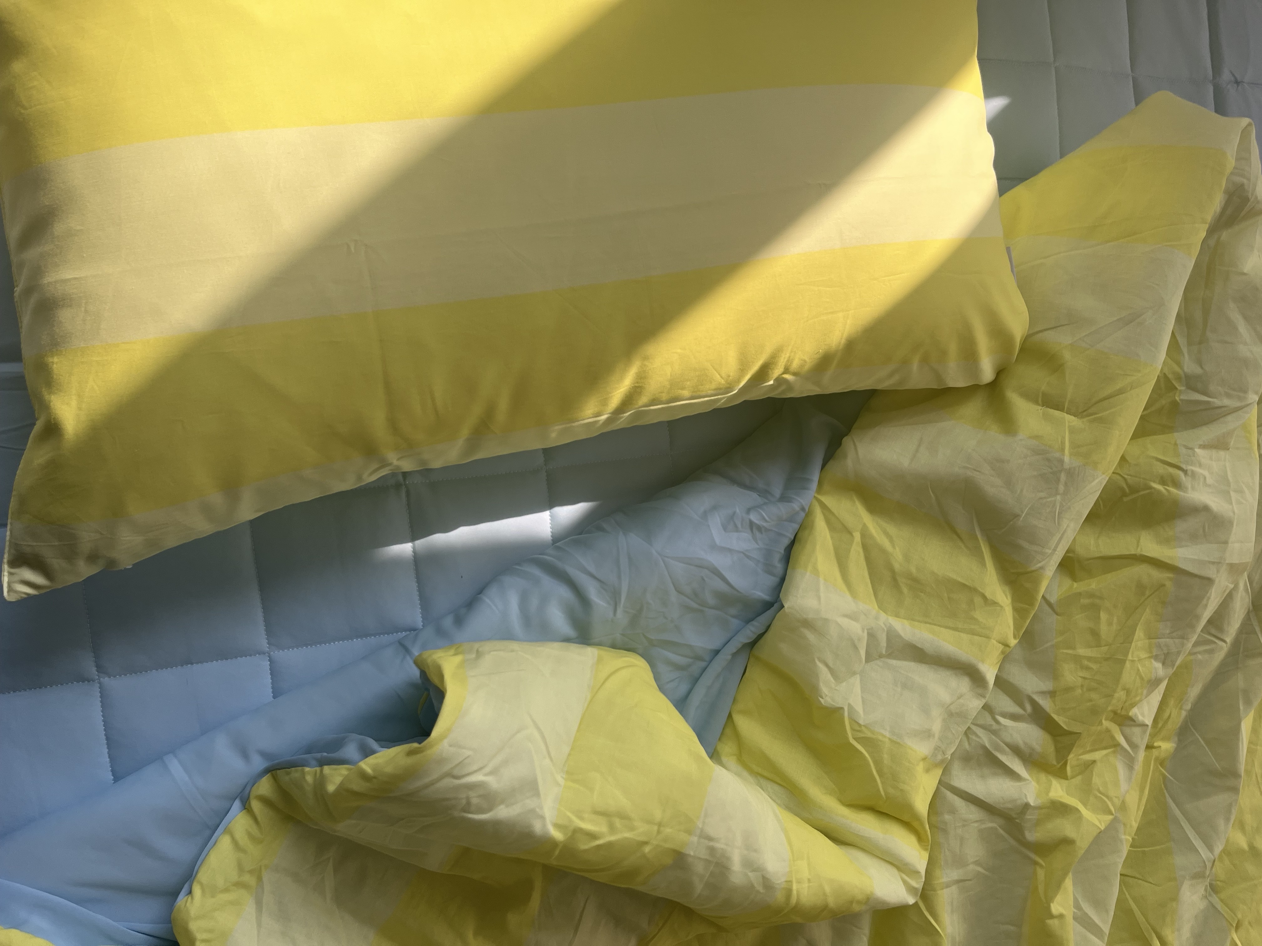 이미지를 찾을 수 없습니다.