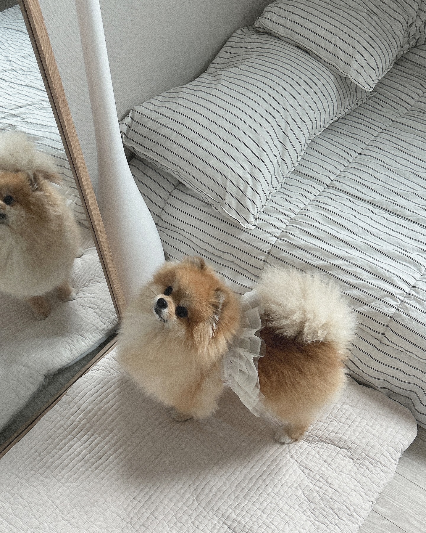 이미지를 찾을 수 없습니다.