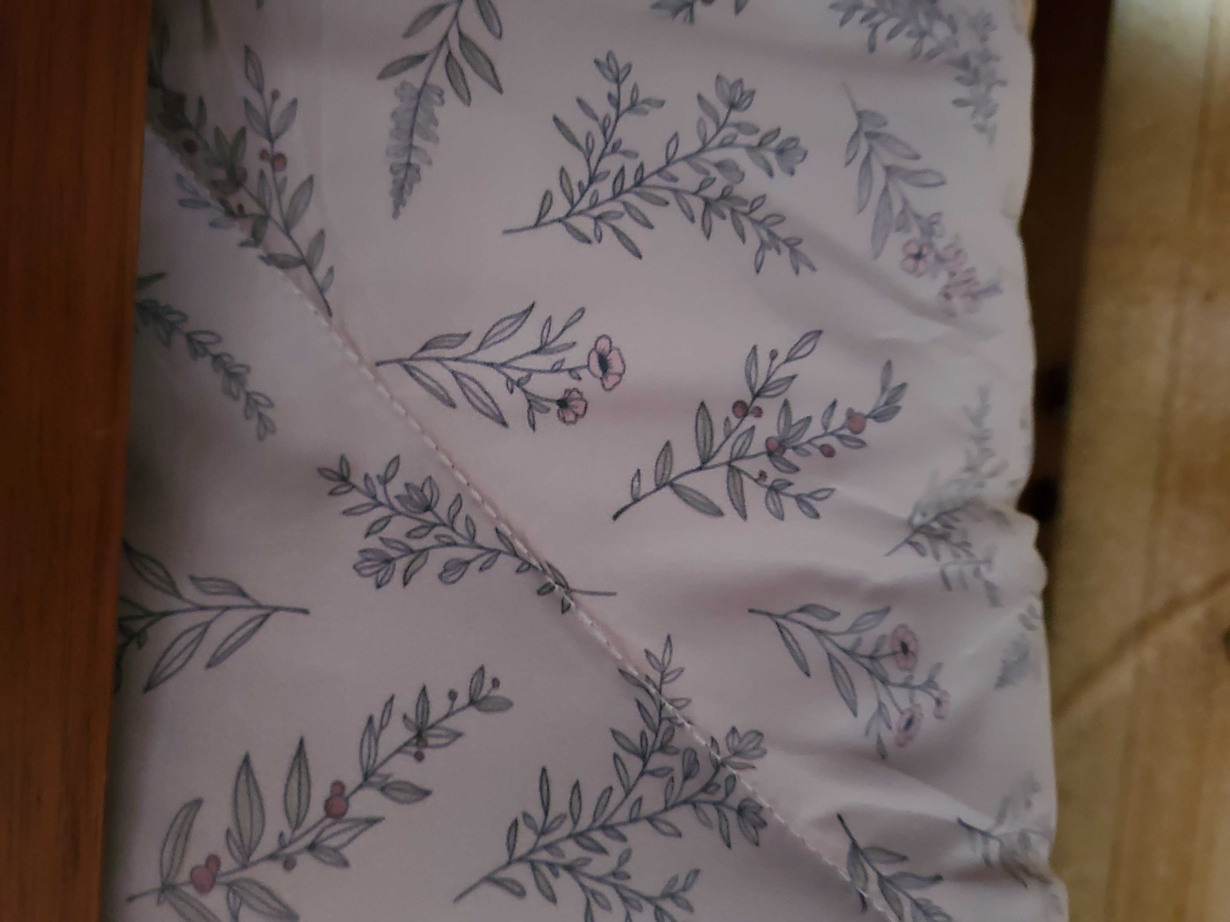 이미지를 찾을 수 없습니다.