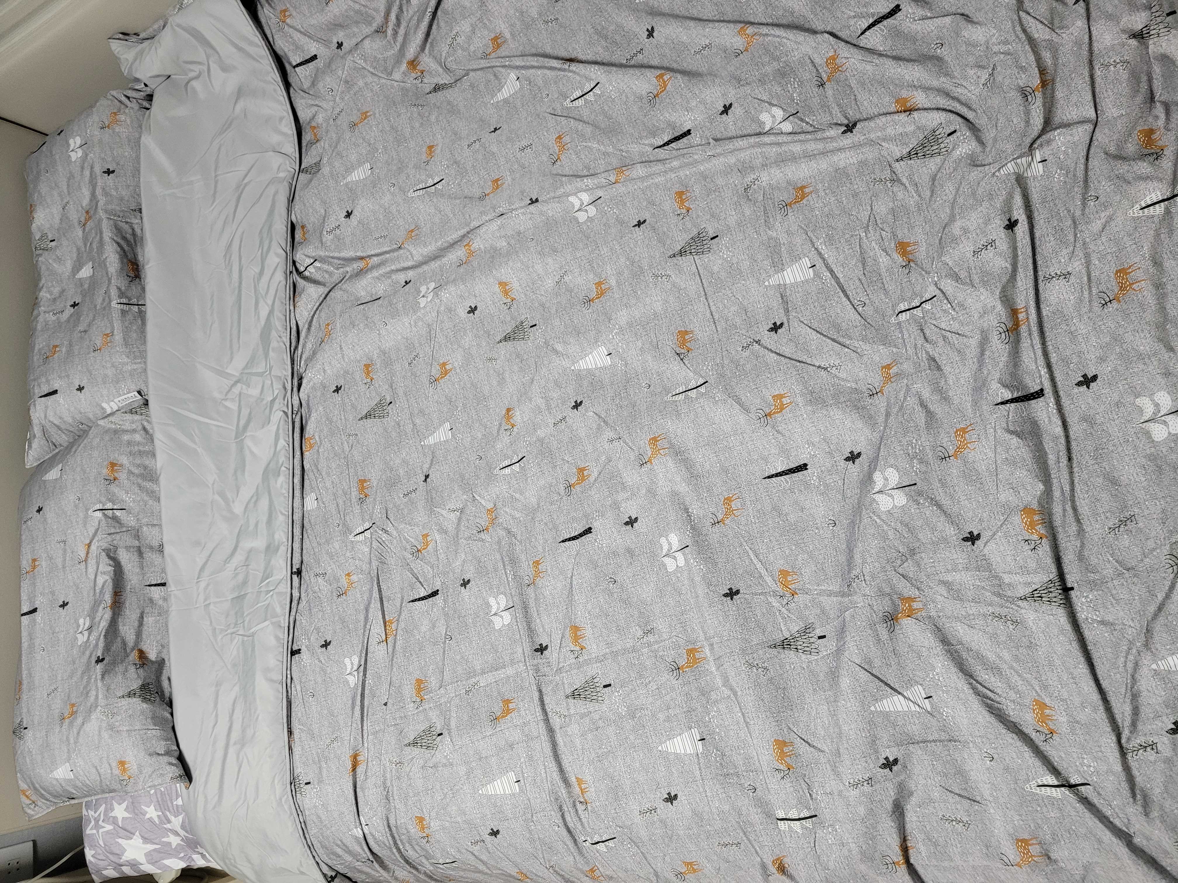 이미지를 찾을 수 없습니다.