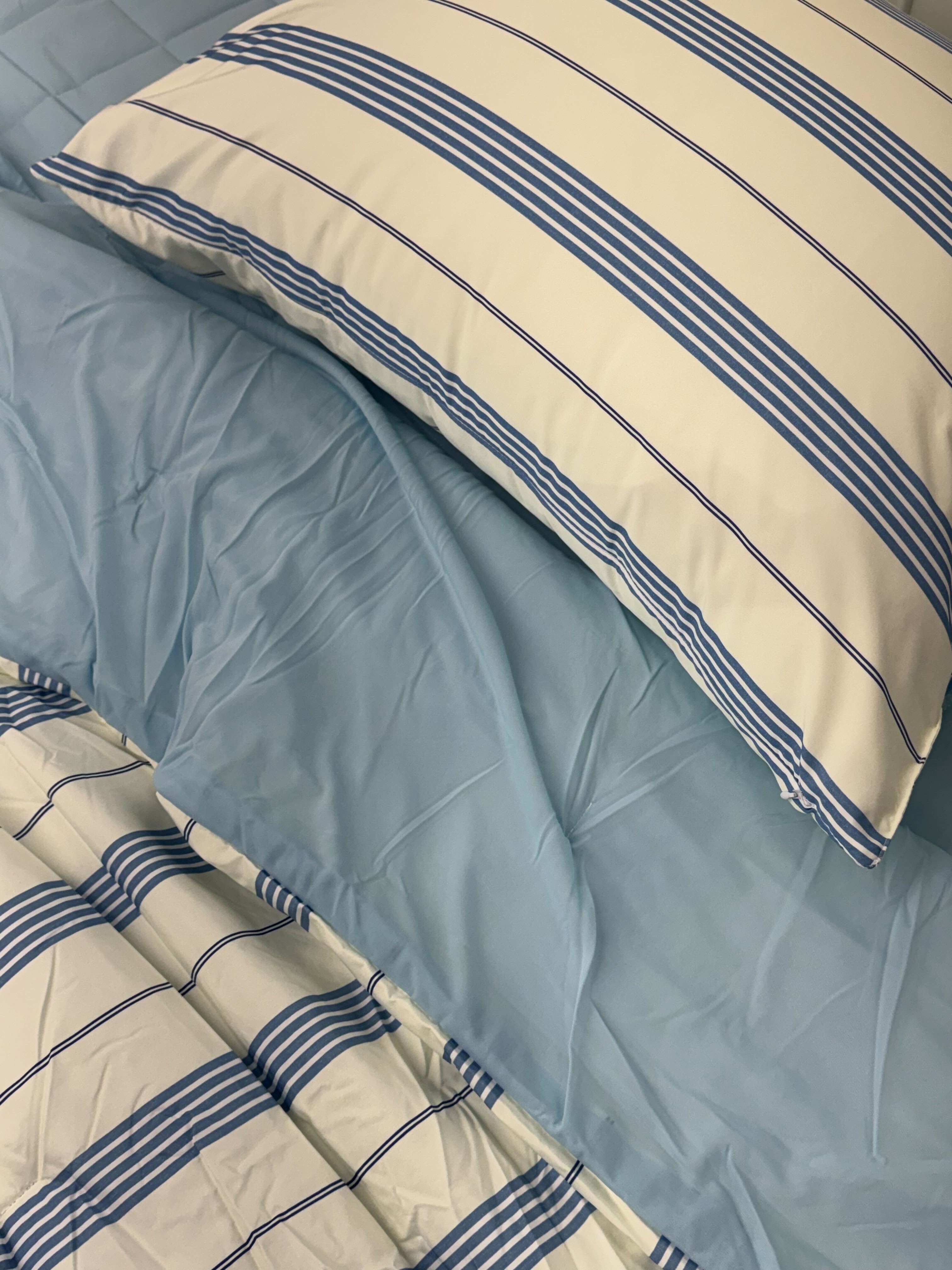 이미지를 찾을 수 없습니다.