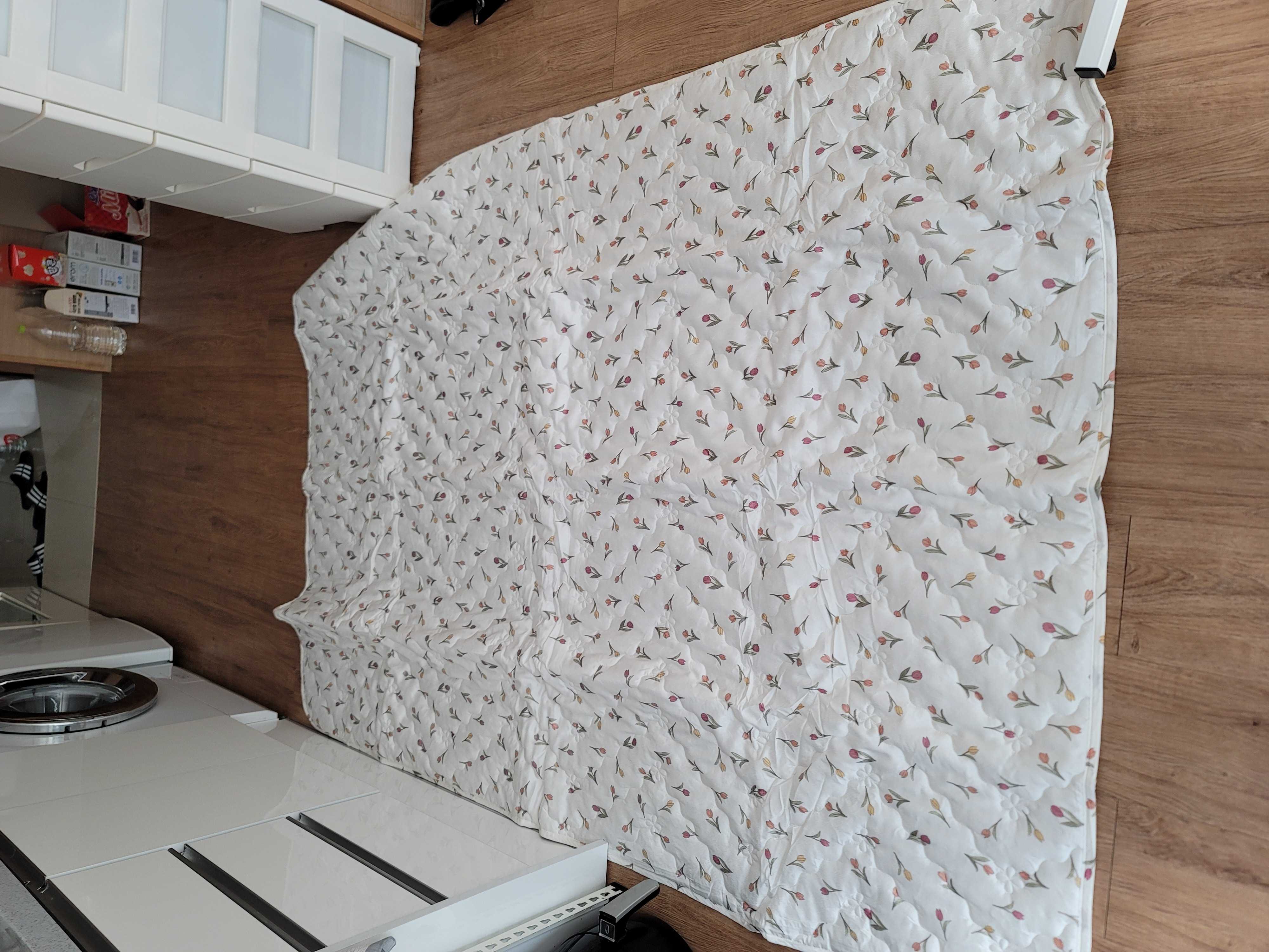 이미지를 찾을 수 없습니다.