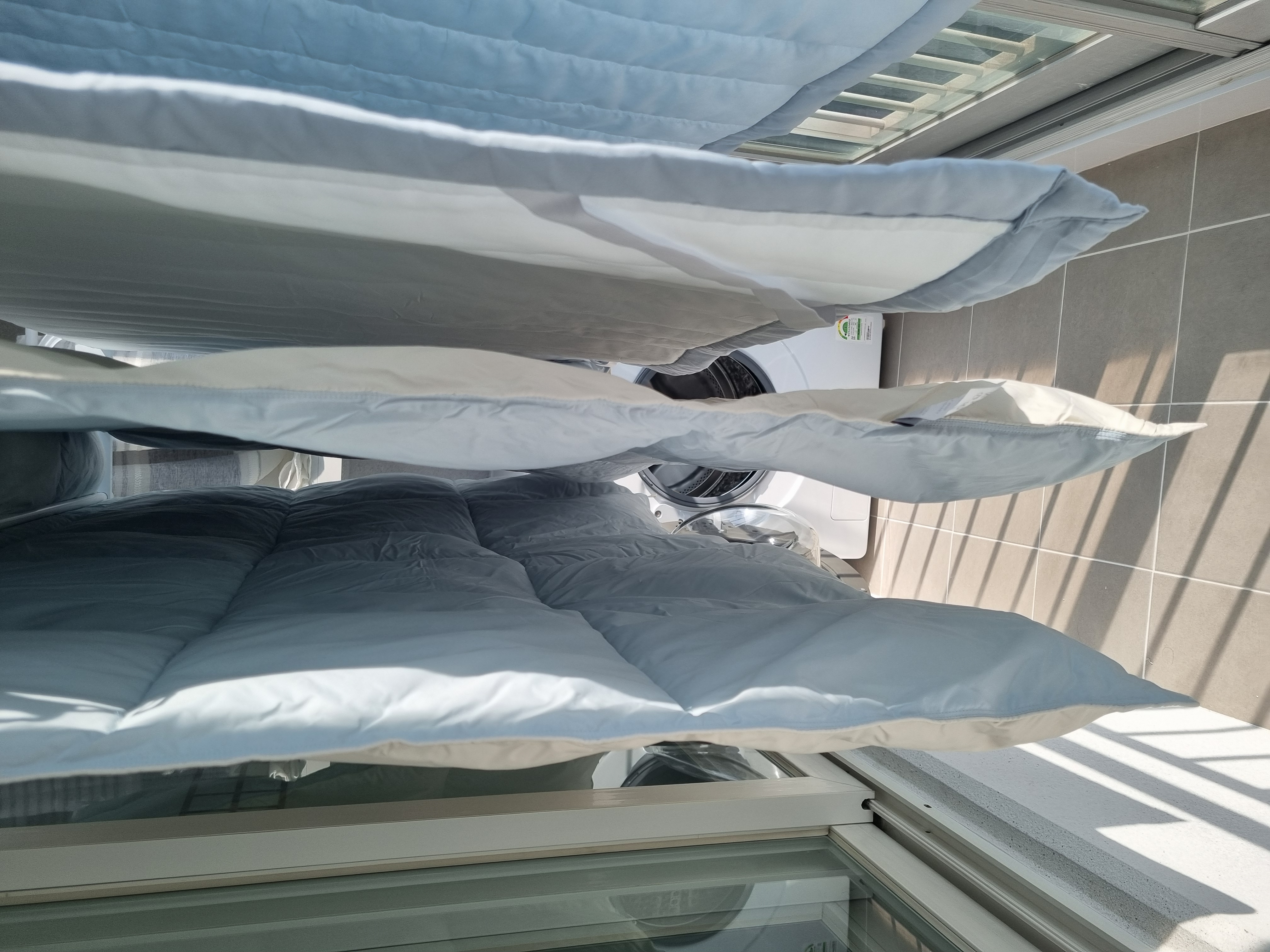 이미지를 찾을 수 없습니다.