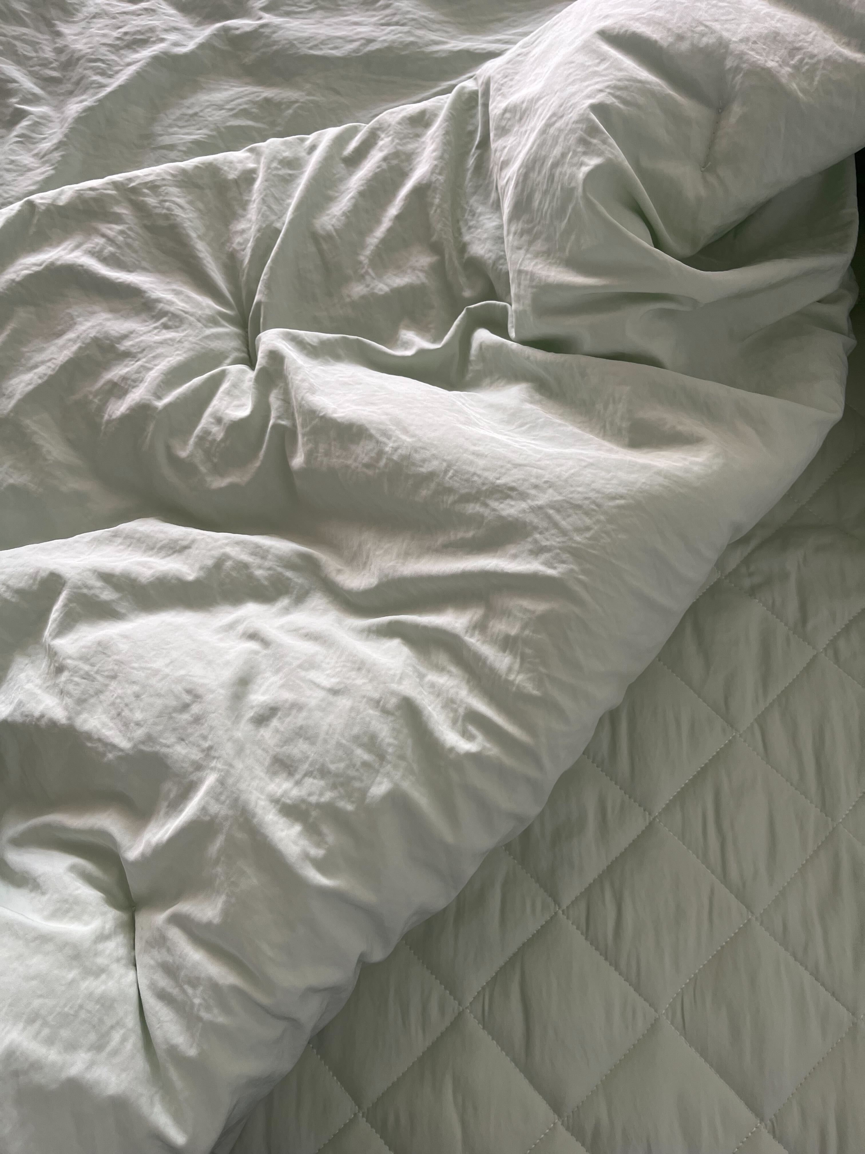 이미지를 찾을 수 없습니다.