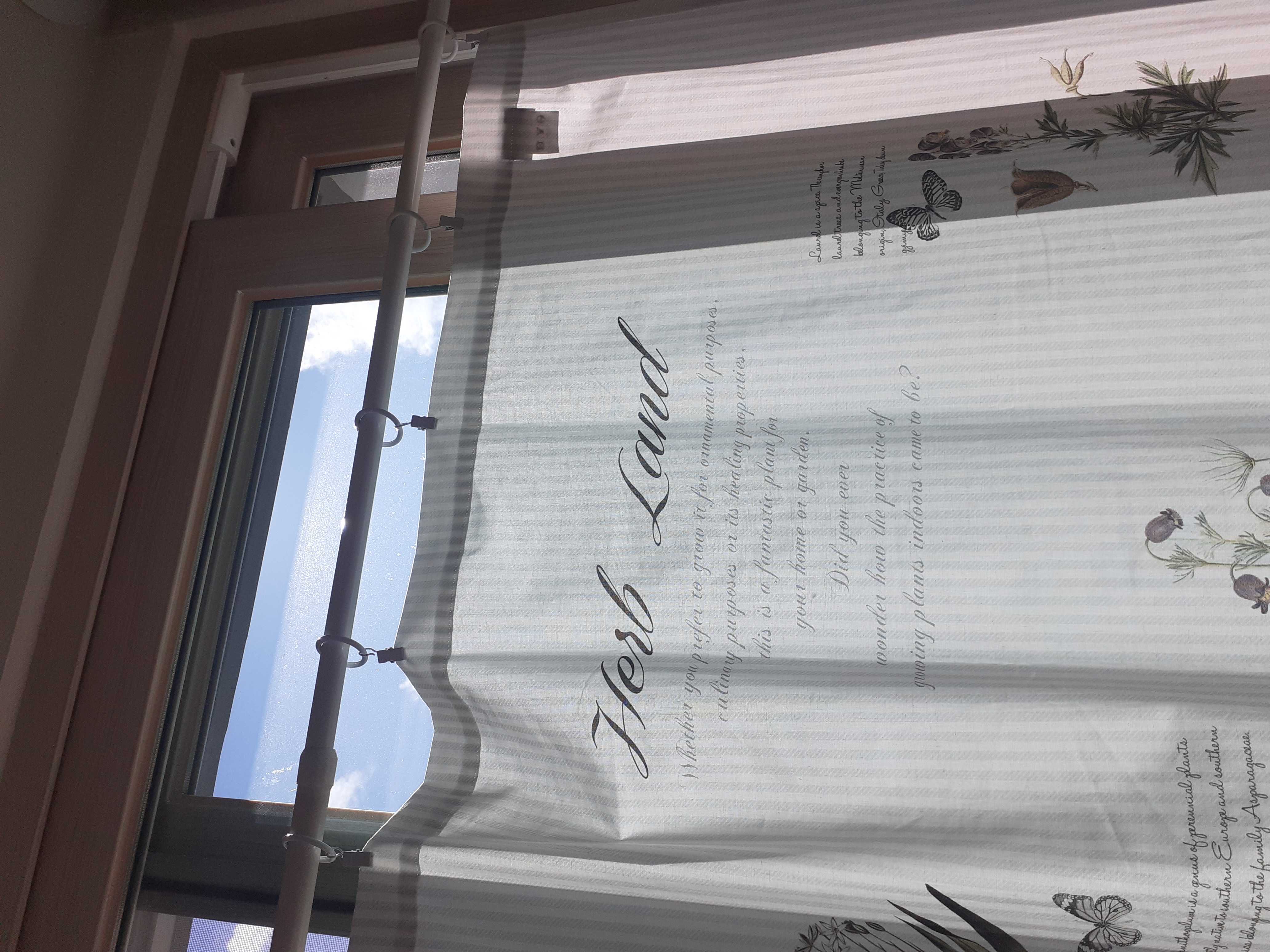 이미지를 찾을 수 없습니다.