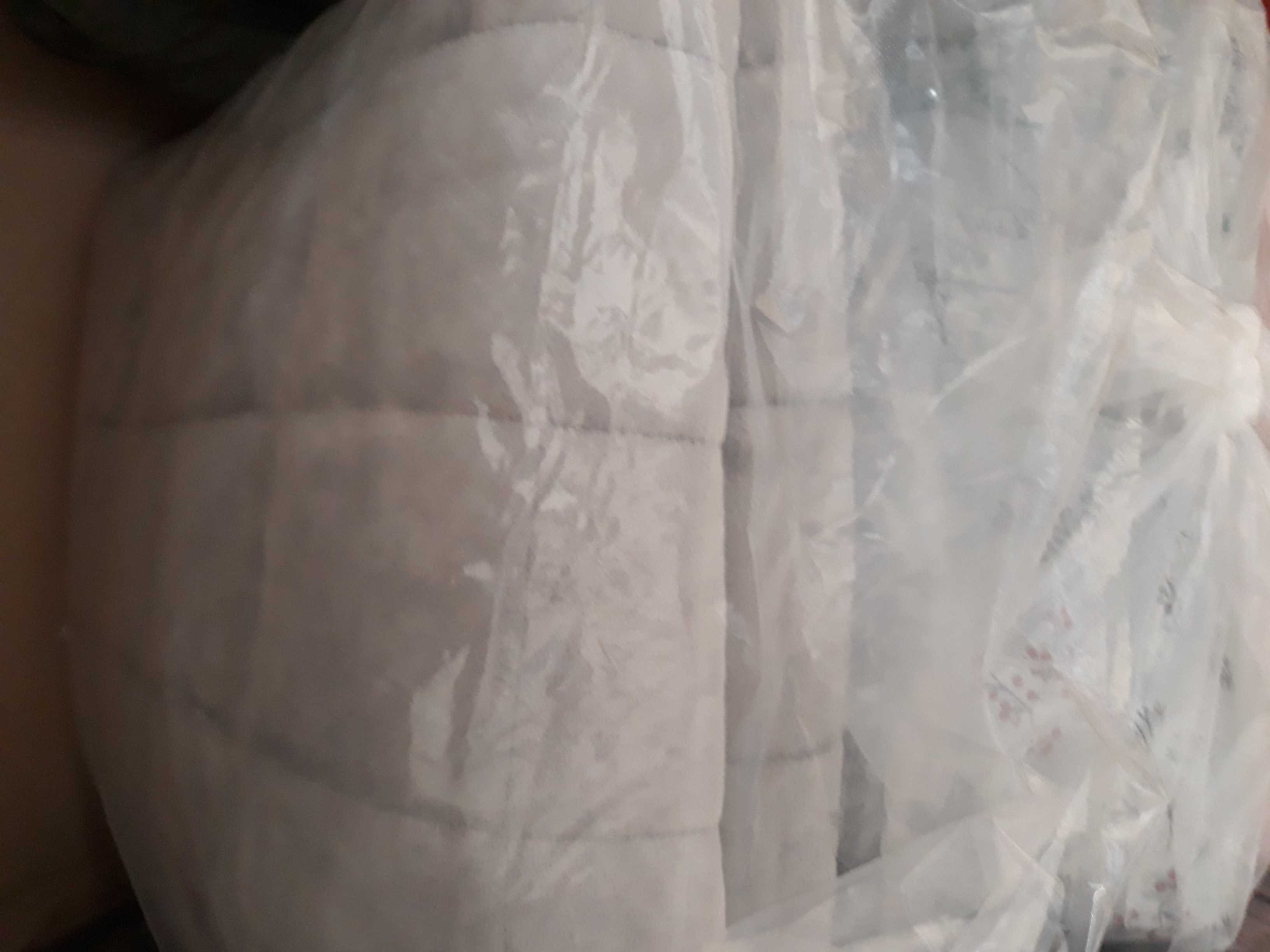 이미지를 찾을 수 없습니다.