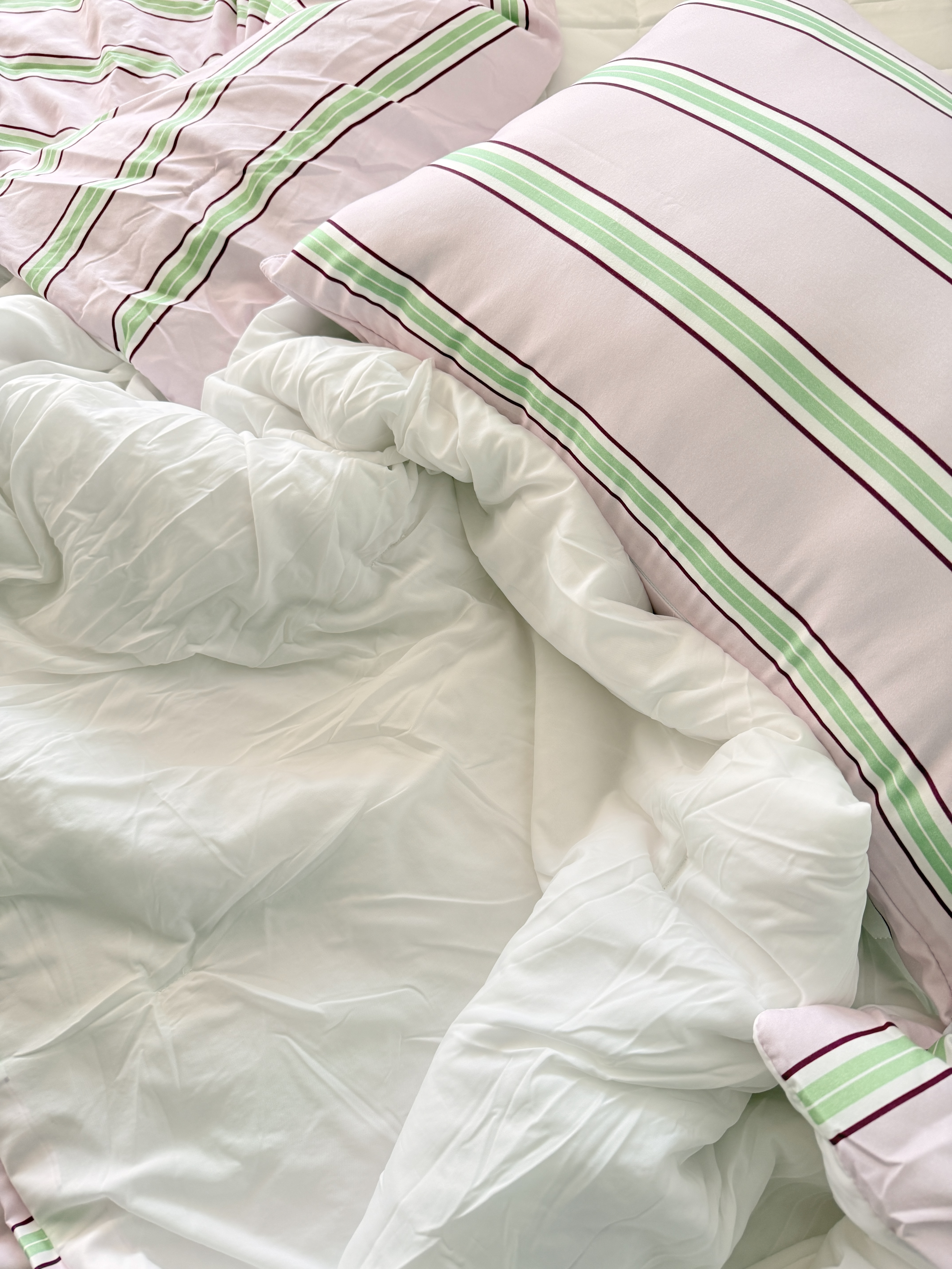 이미지를 찾을 수 없습니다.