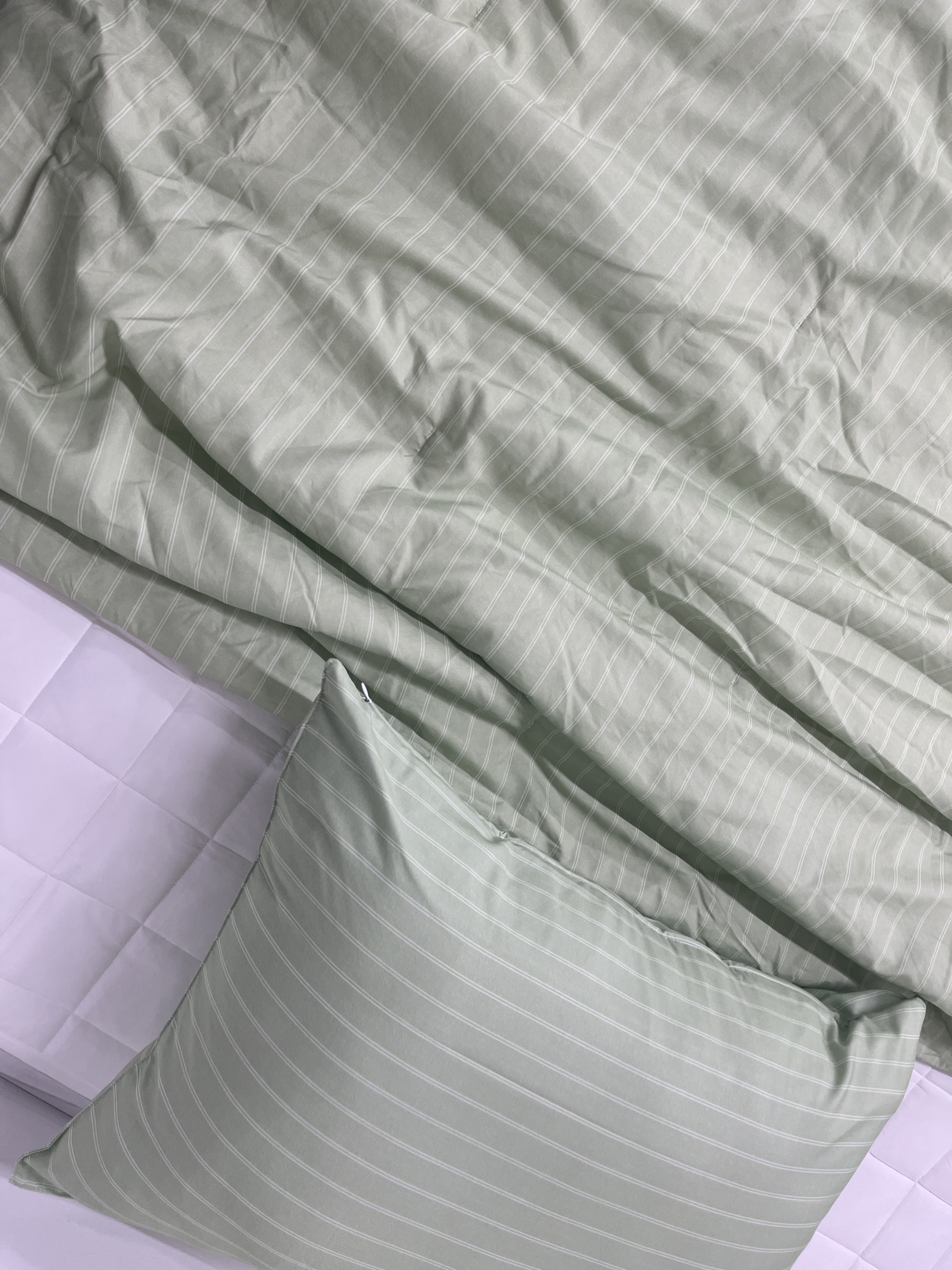 이미지를 찾을 수 없습니다.