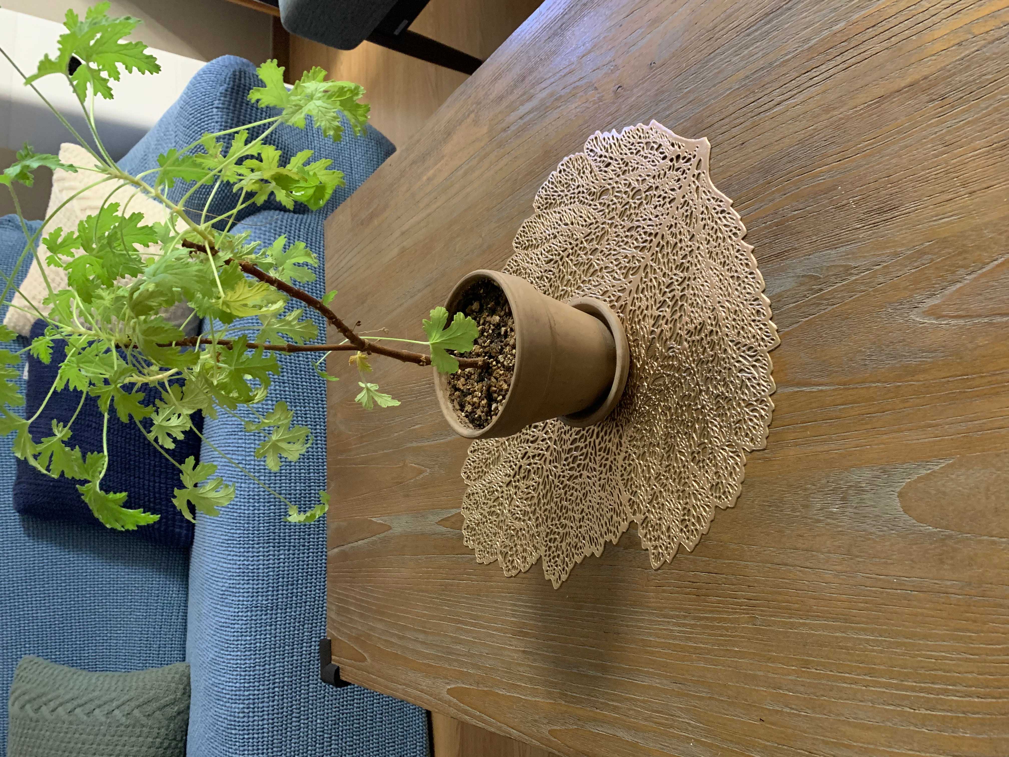 이미지를 찾을 수 없습니다.