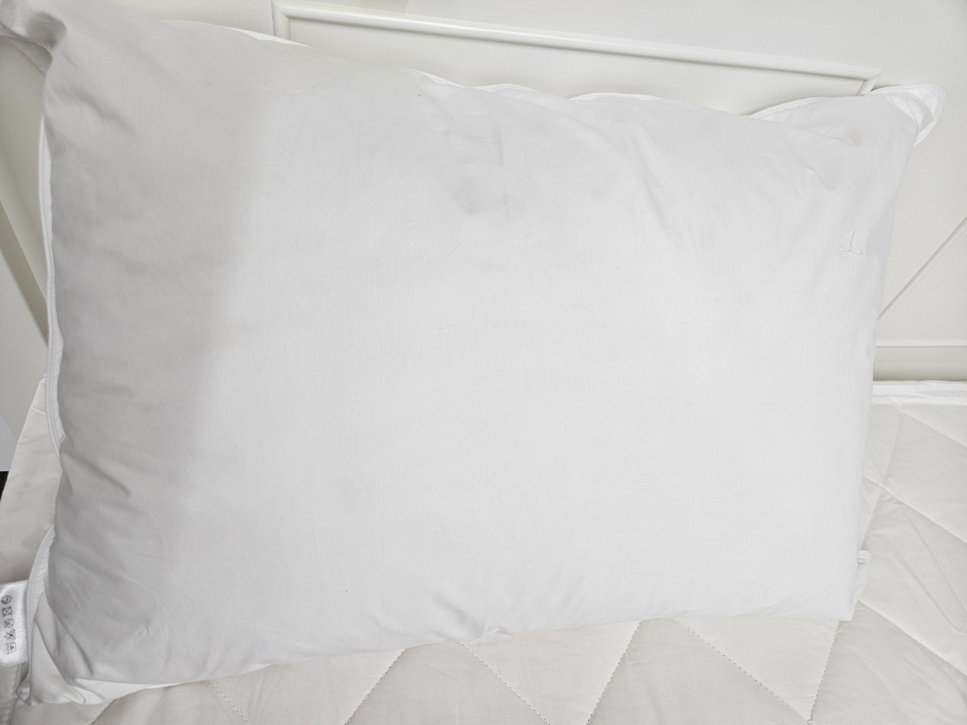 이미지를 찾을 수 없습니다.