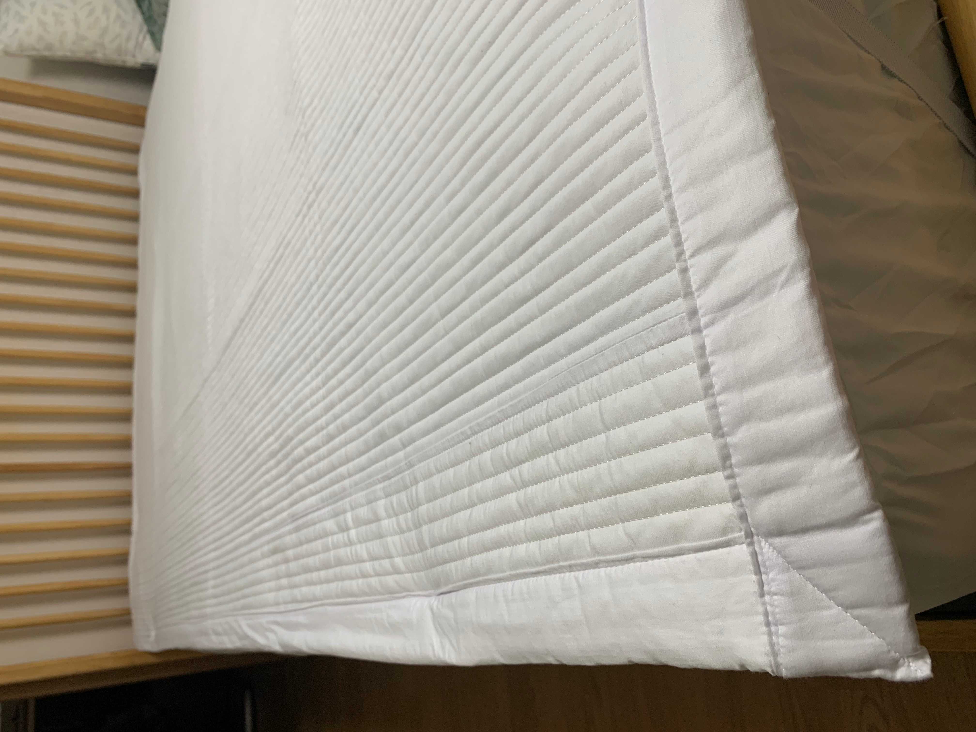 이미지를 찾을 수 없습니다.