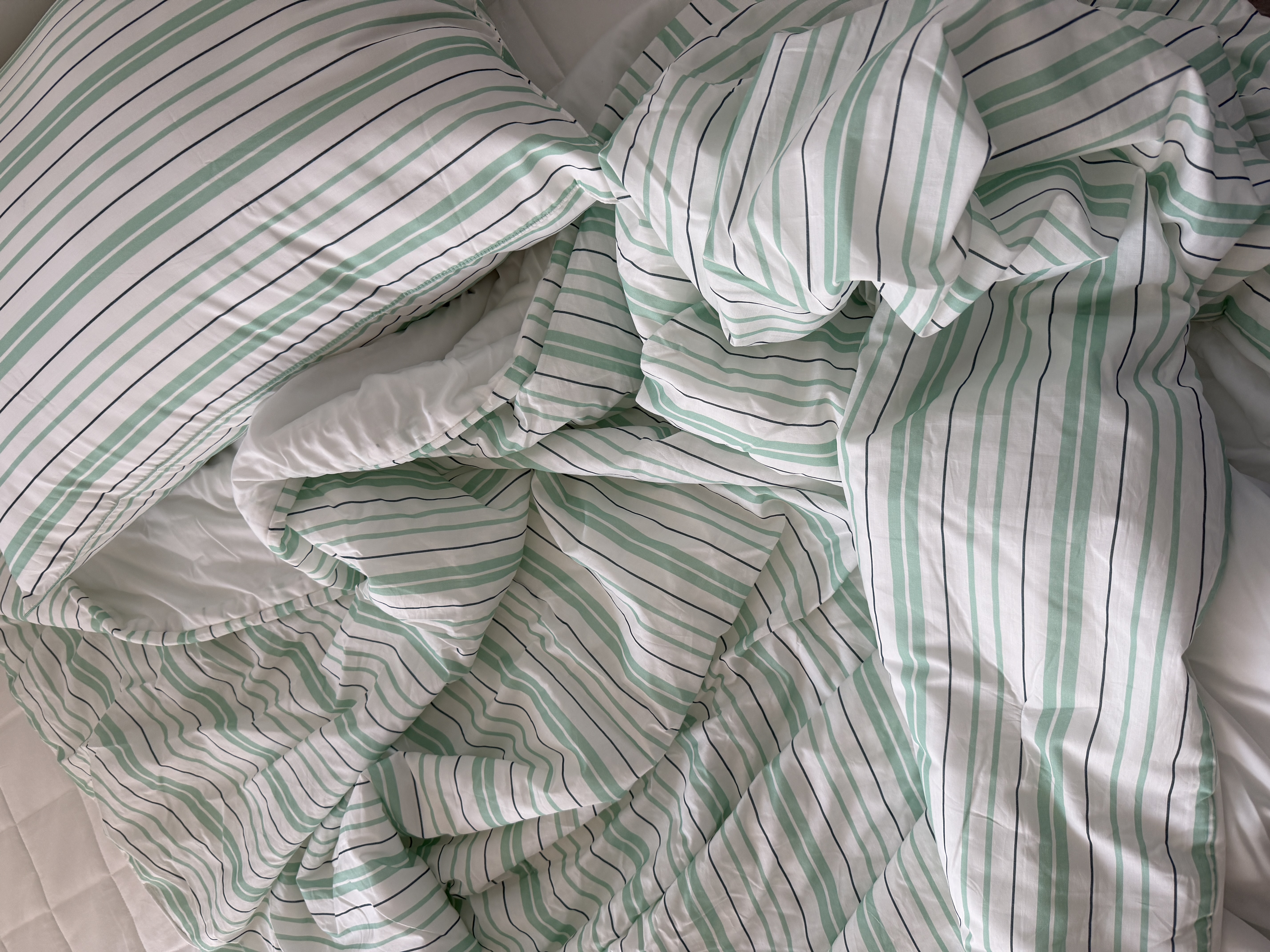 이미지를 찾을 수 없습니다.