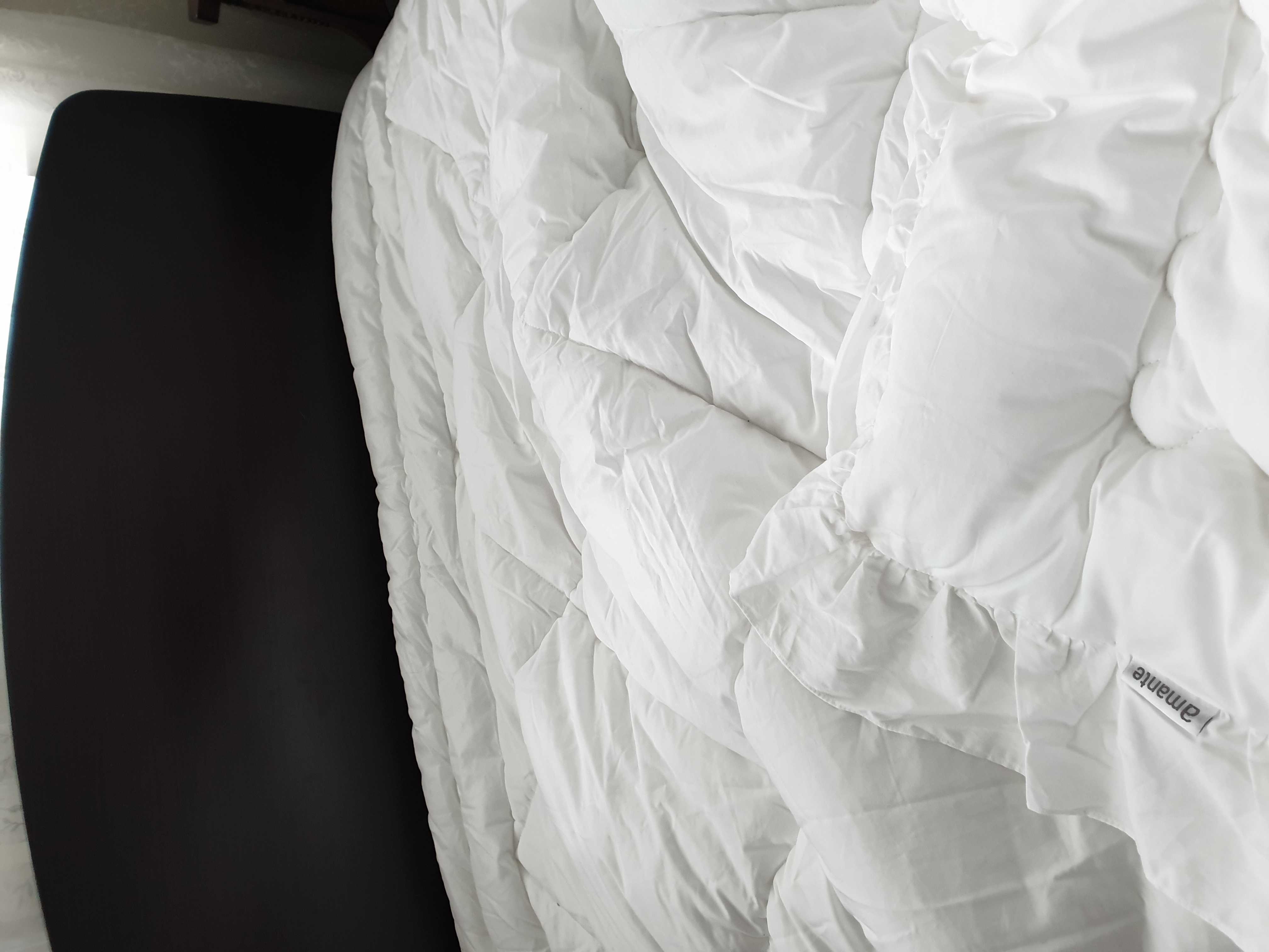 이미지를 찾을 수 없습니다.