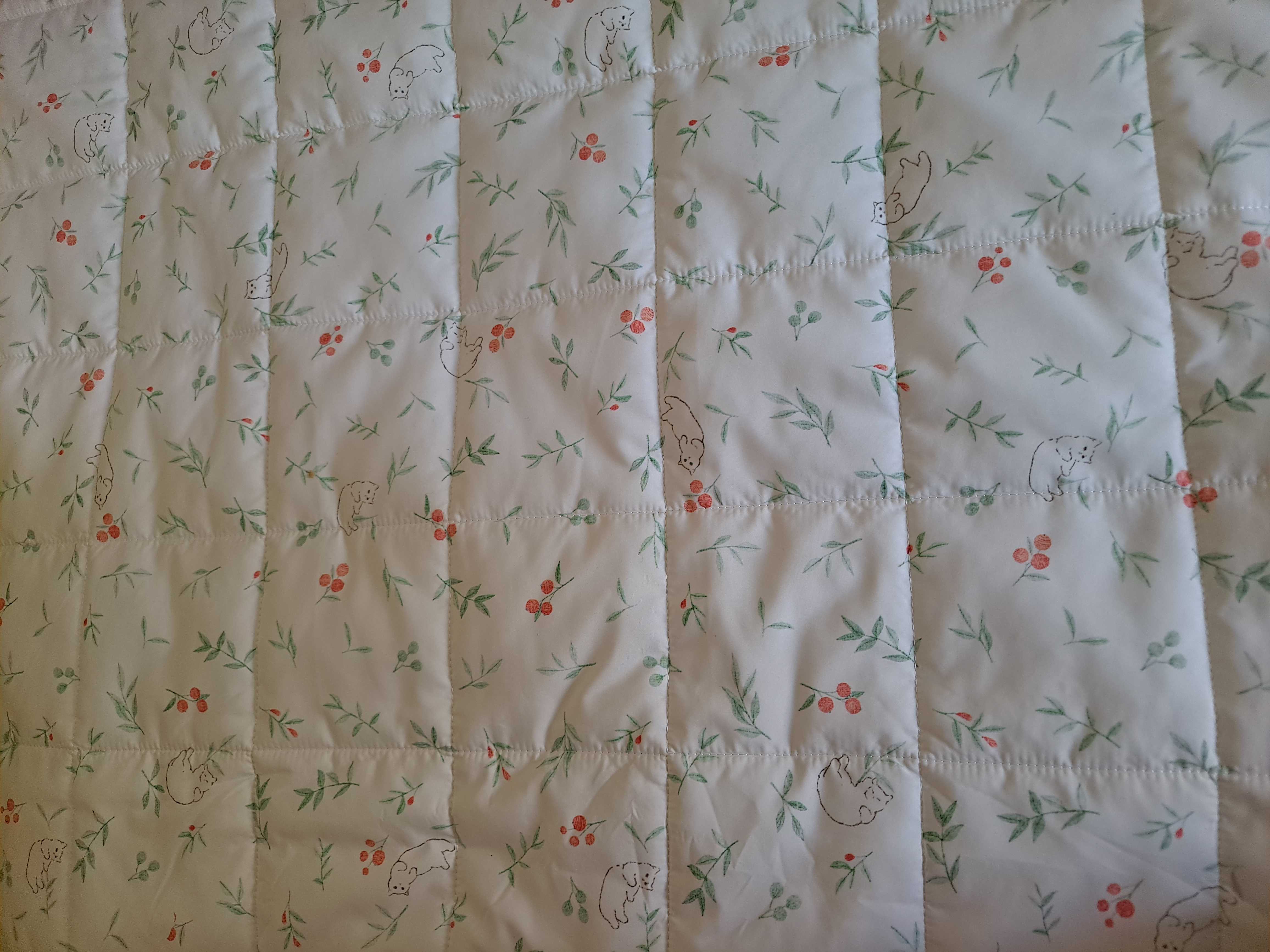 이미지를 찾을 수 없습니다.