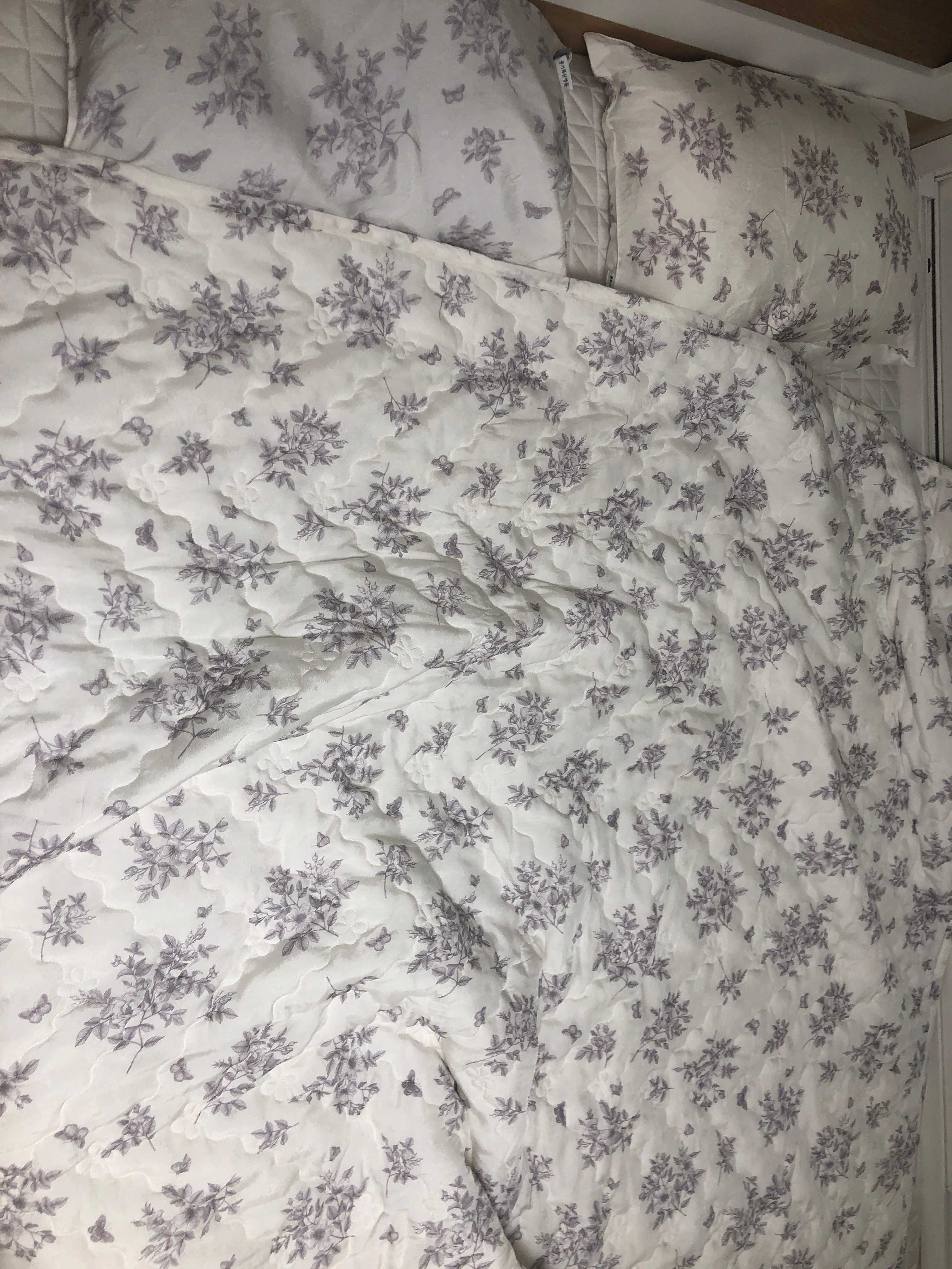 이미지를 찾을 수 없습니다.