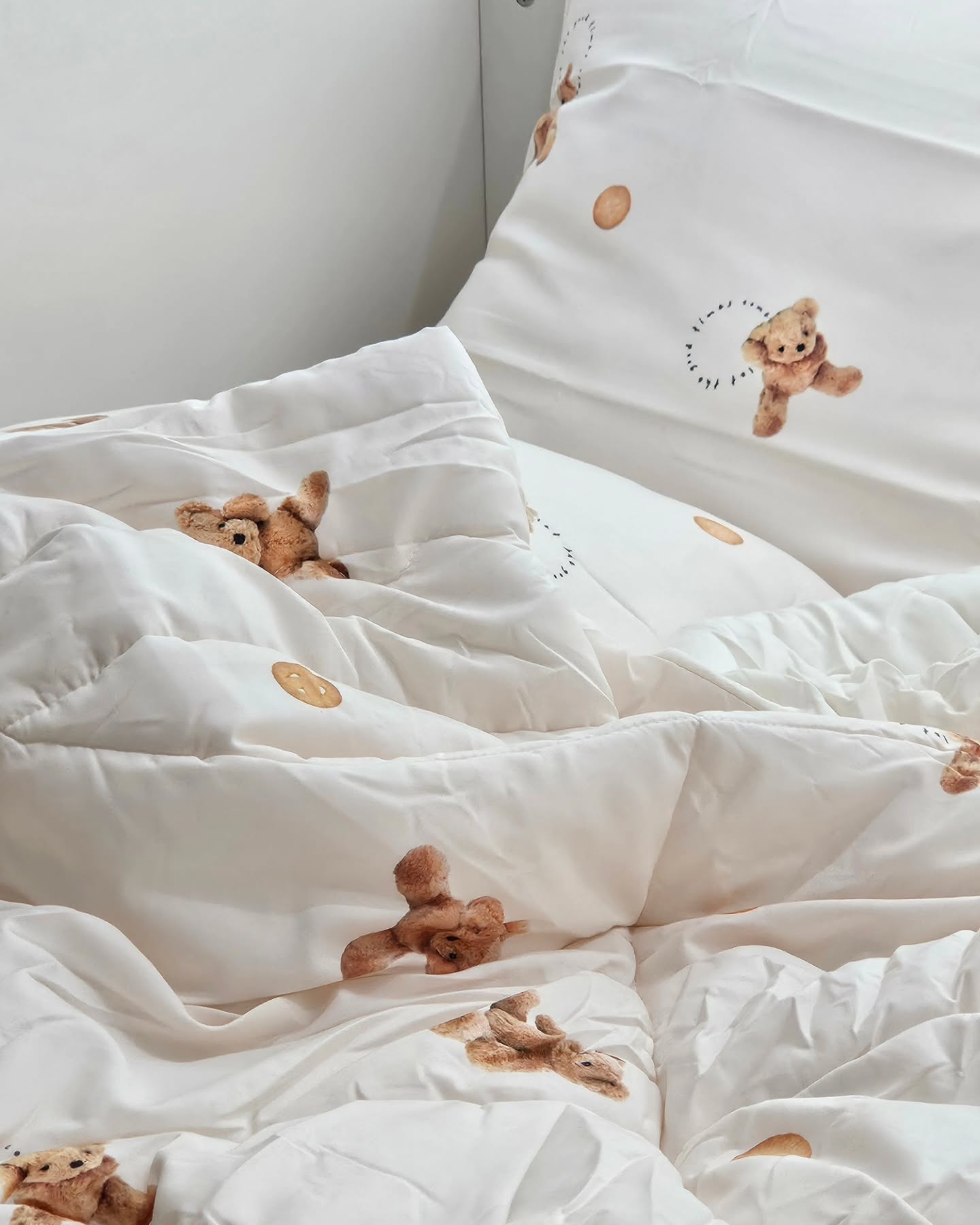 이미지를 찾을 수 없습니다.