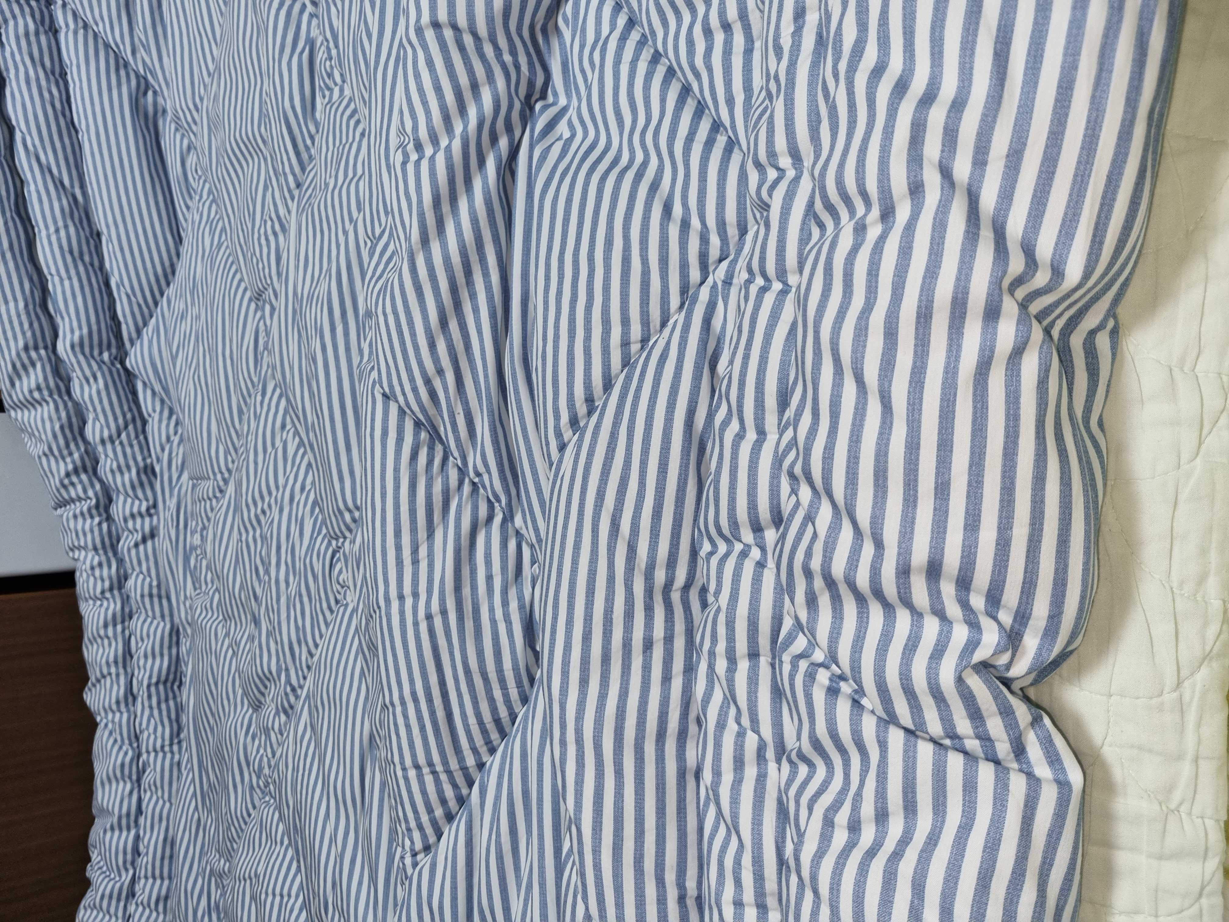 이미지를 찾을 수 없습니다.