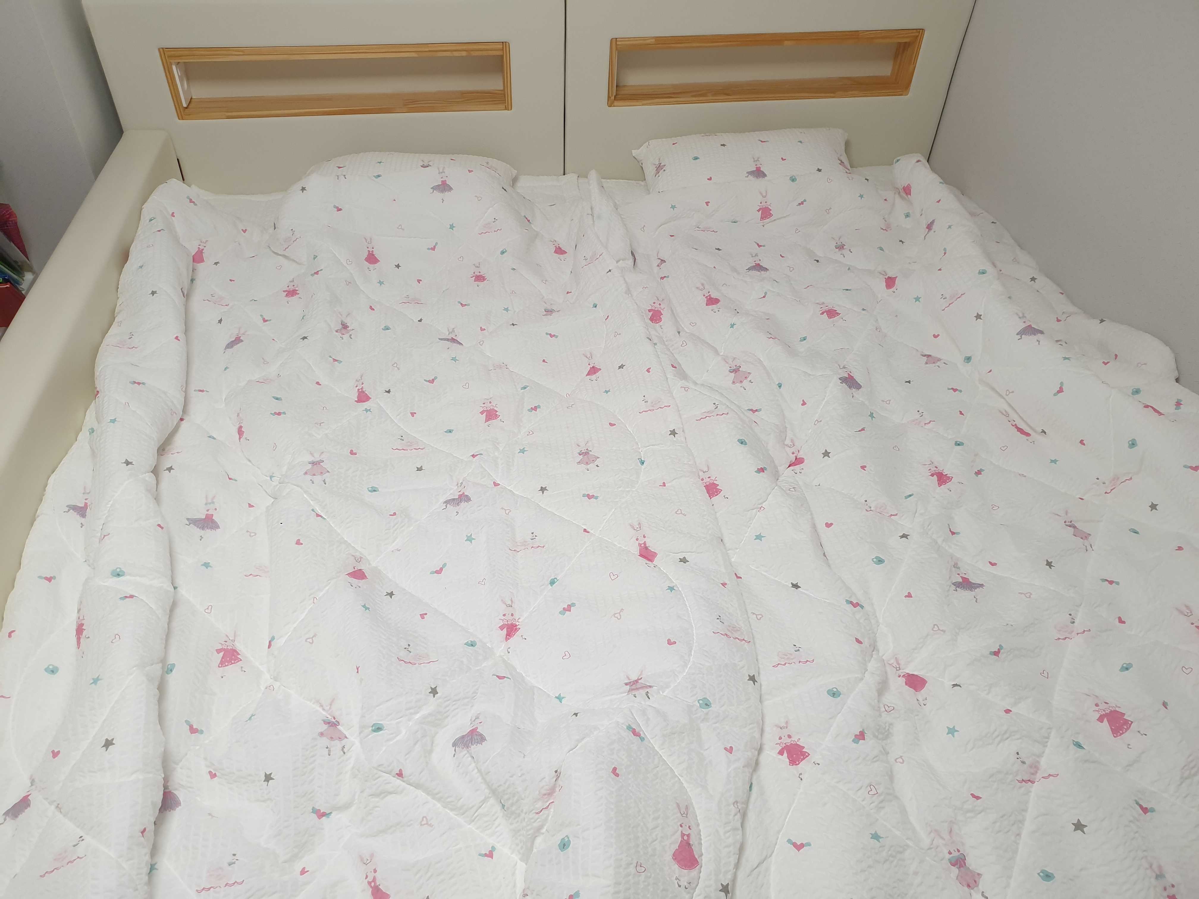 이미지를 찾을 수 없습니다.