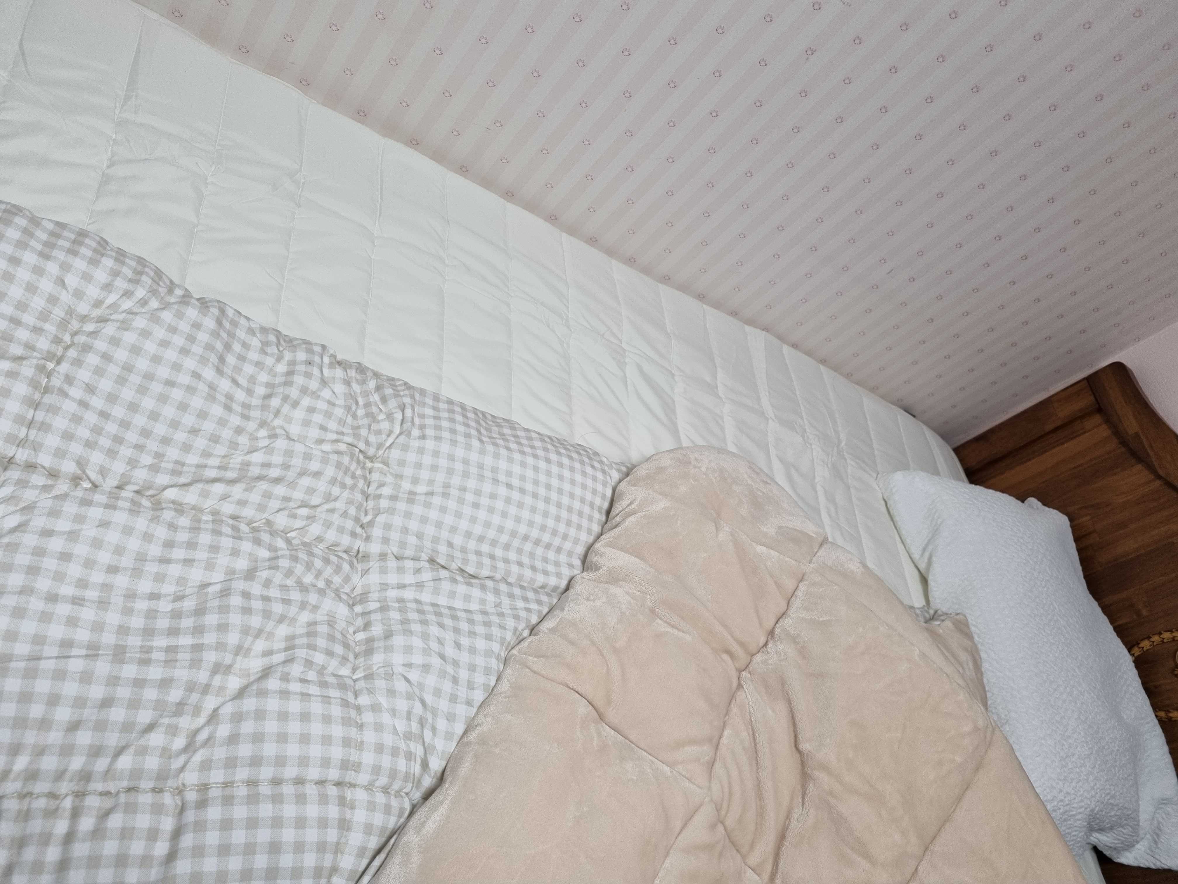 이미지를 찾을 수 없습니다.