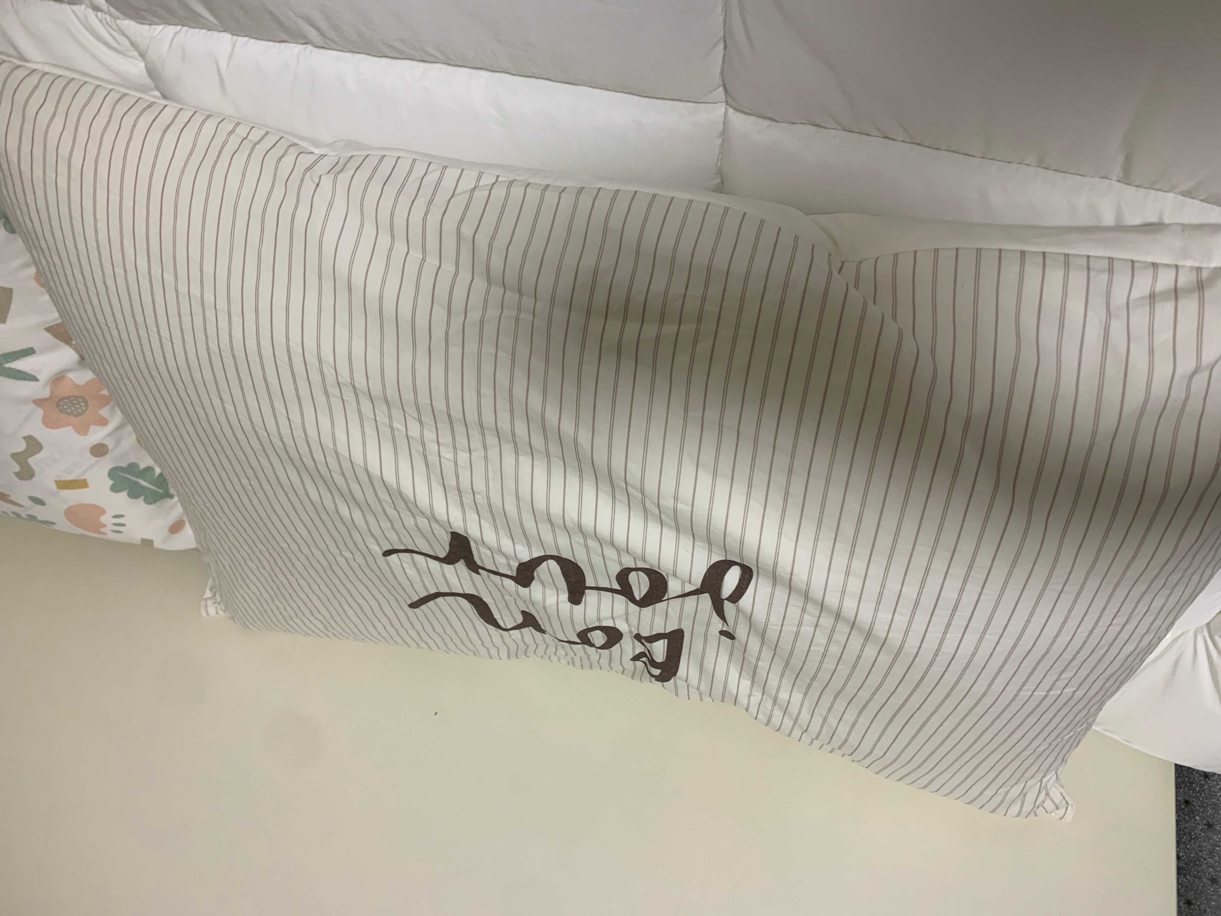 이미지를 찾을 수 없습니다.