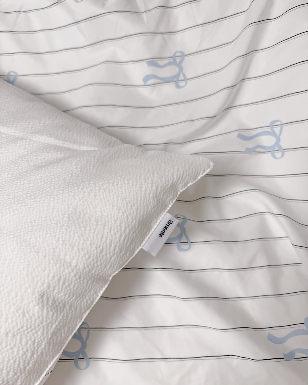 이미지를 찾을 수 없습니다.