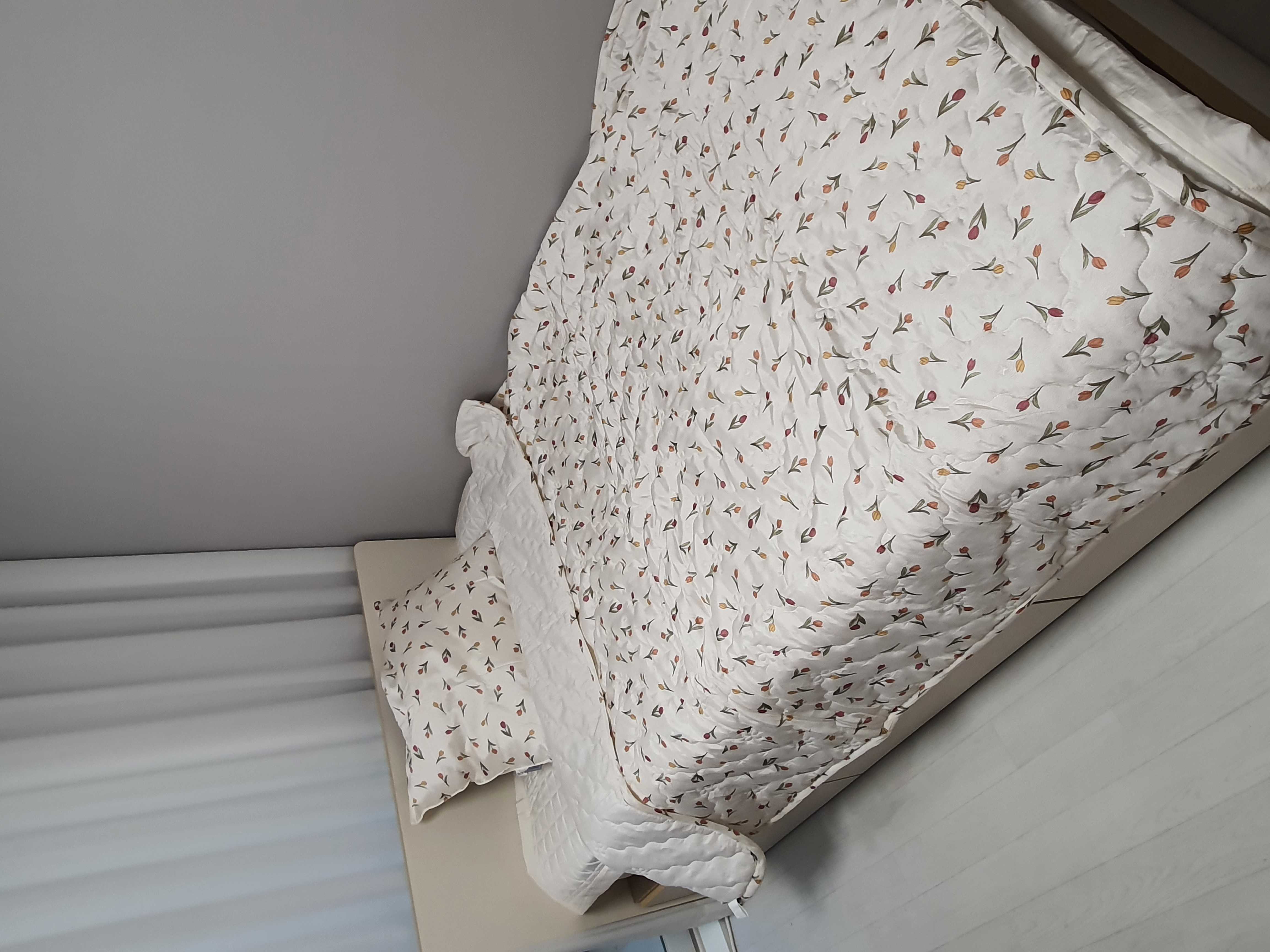 이미지를 찾을 수 없습니다.