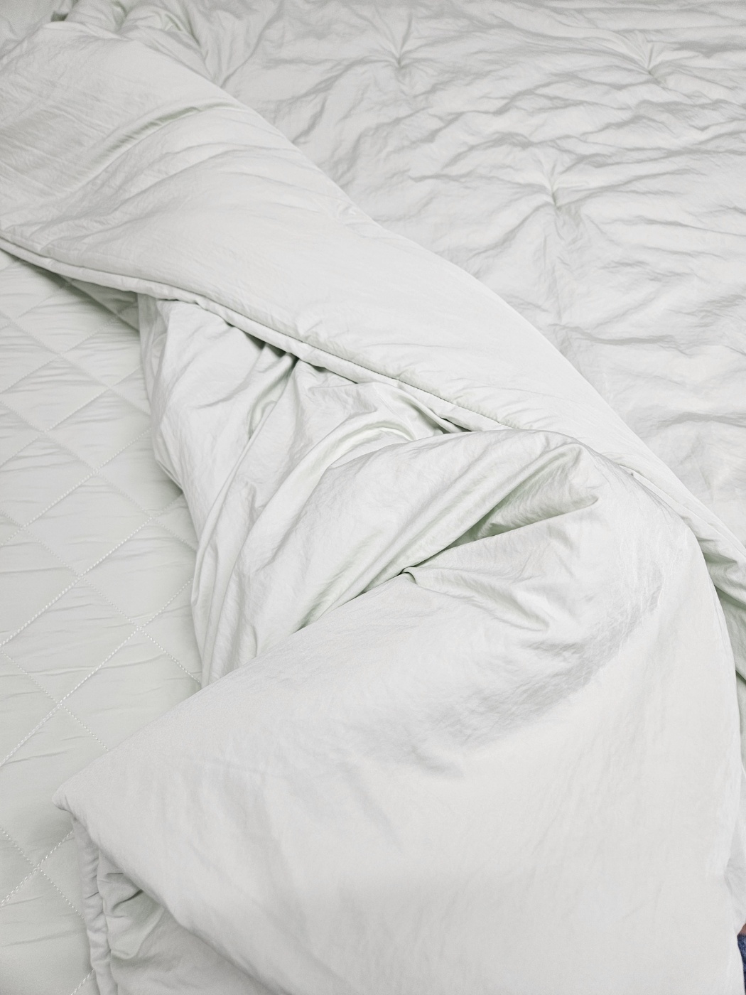 이미지를 찾을 수 없습니다.