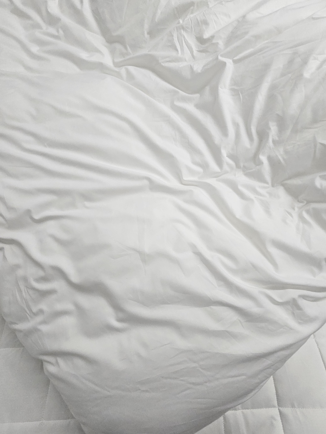 이미지를 찾을 수 없습니다.