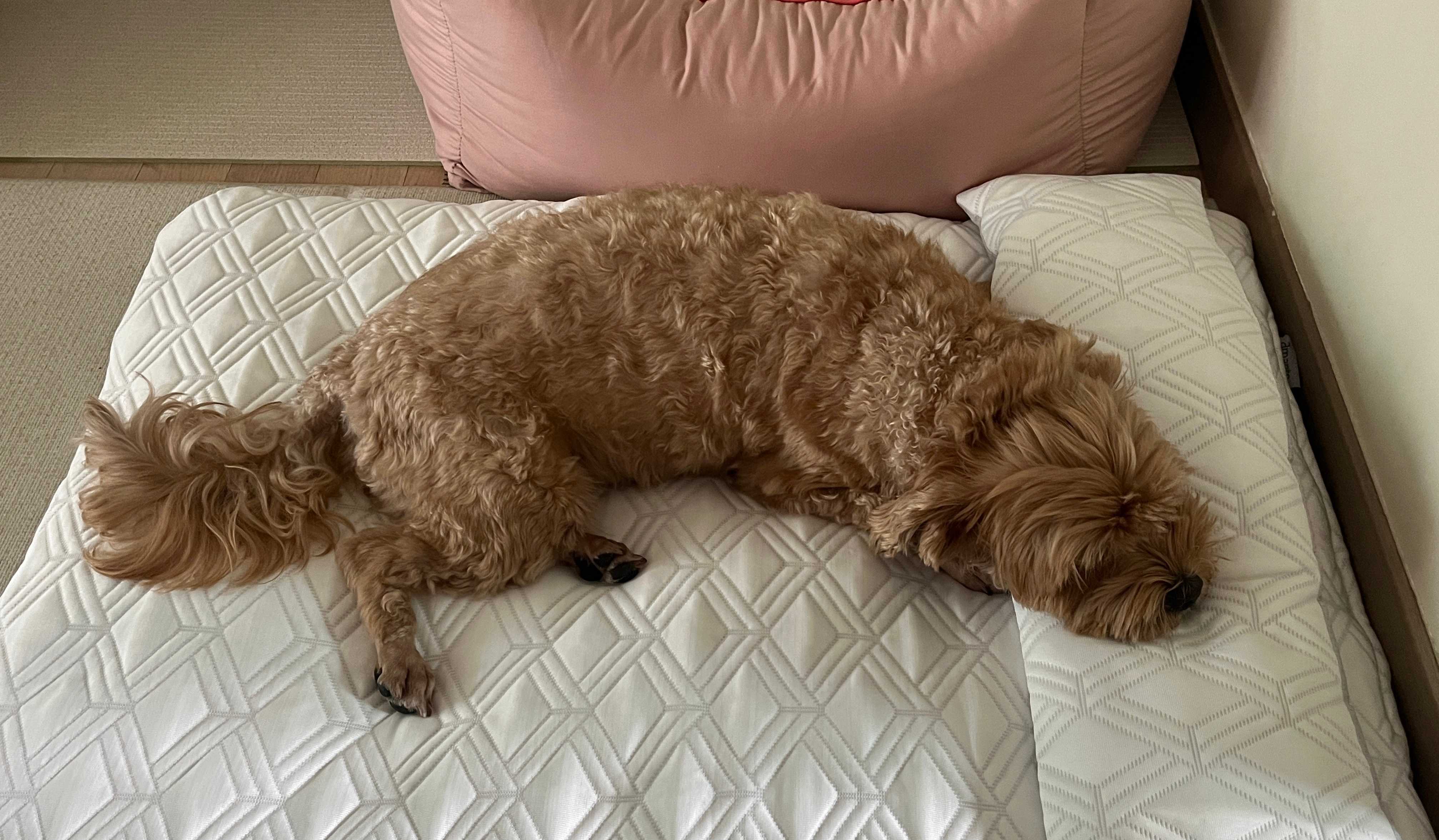 이미지를 찾을 수 없습니다.