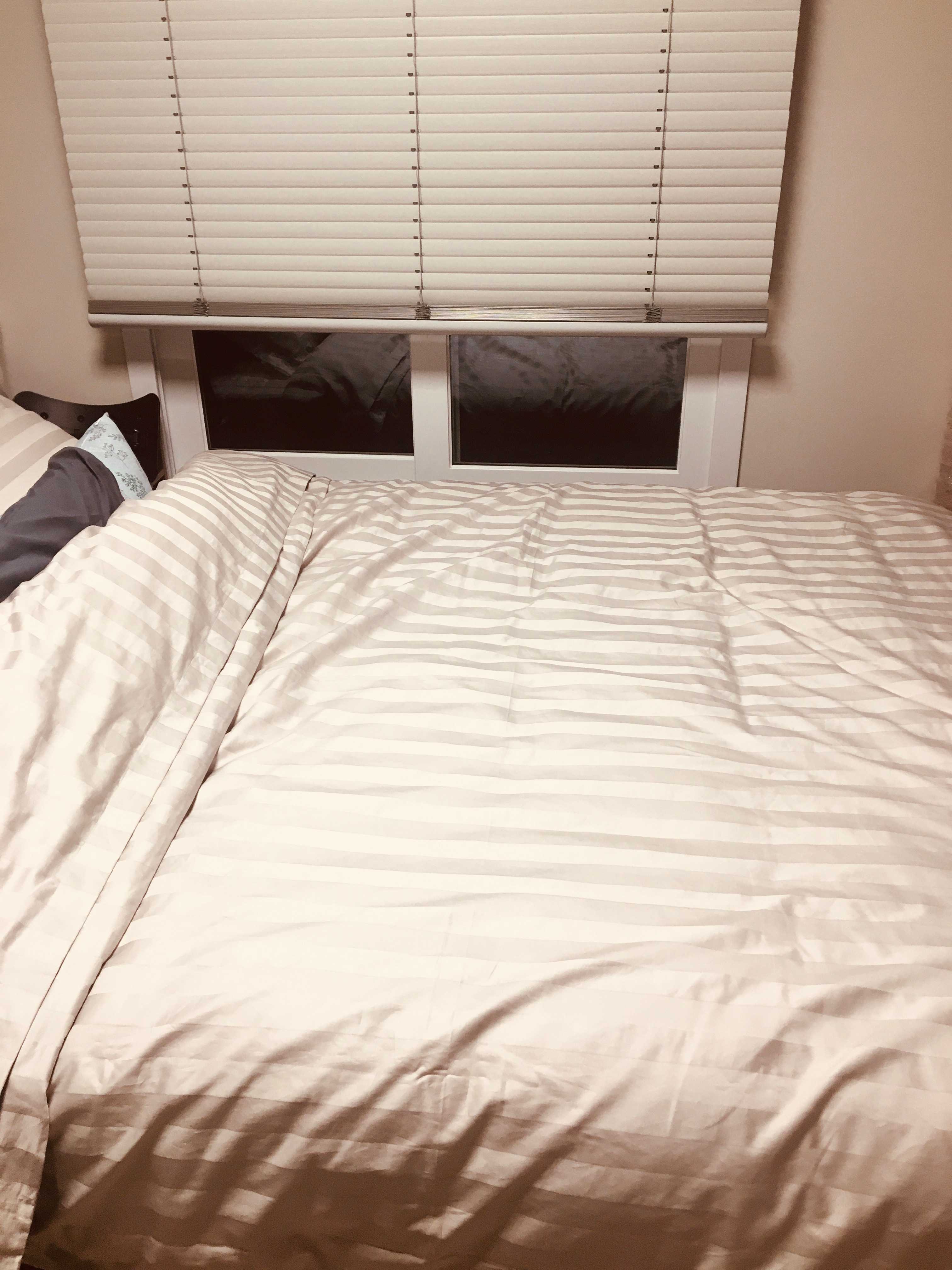 이미지를 찾을 수 없습니다.