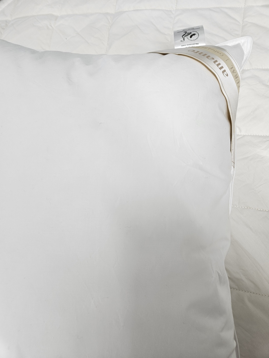 이미지를 찾을 수 없습니다.