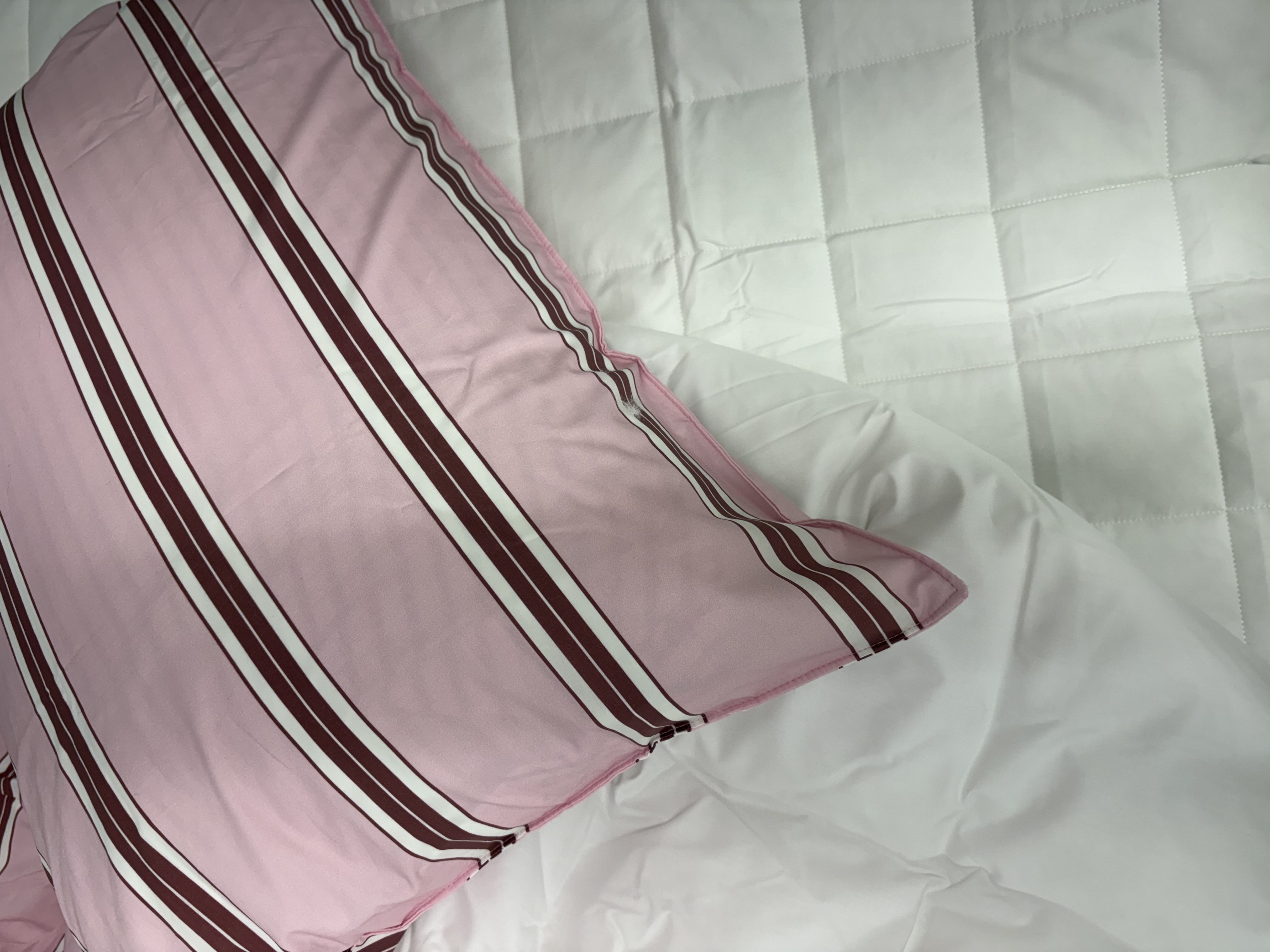 이미지를 찾을 수 없습니다.