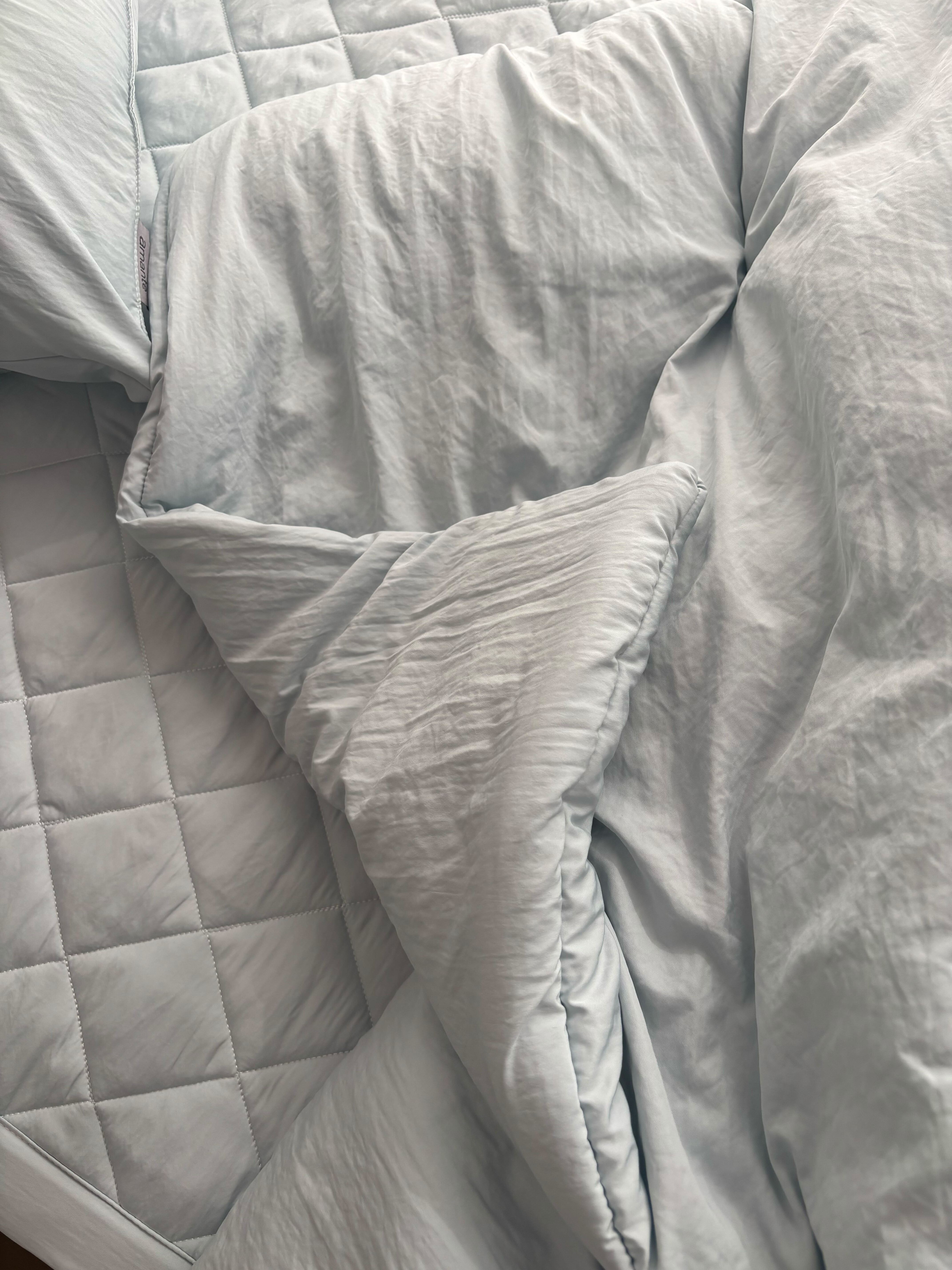 이미지를 찾을 수 없습니다.