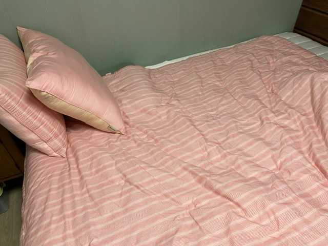 이미지를 찾을 수 없습니다.