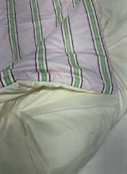 이미지를 찾을 수 없습니다.