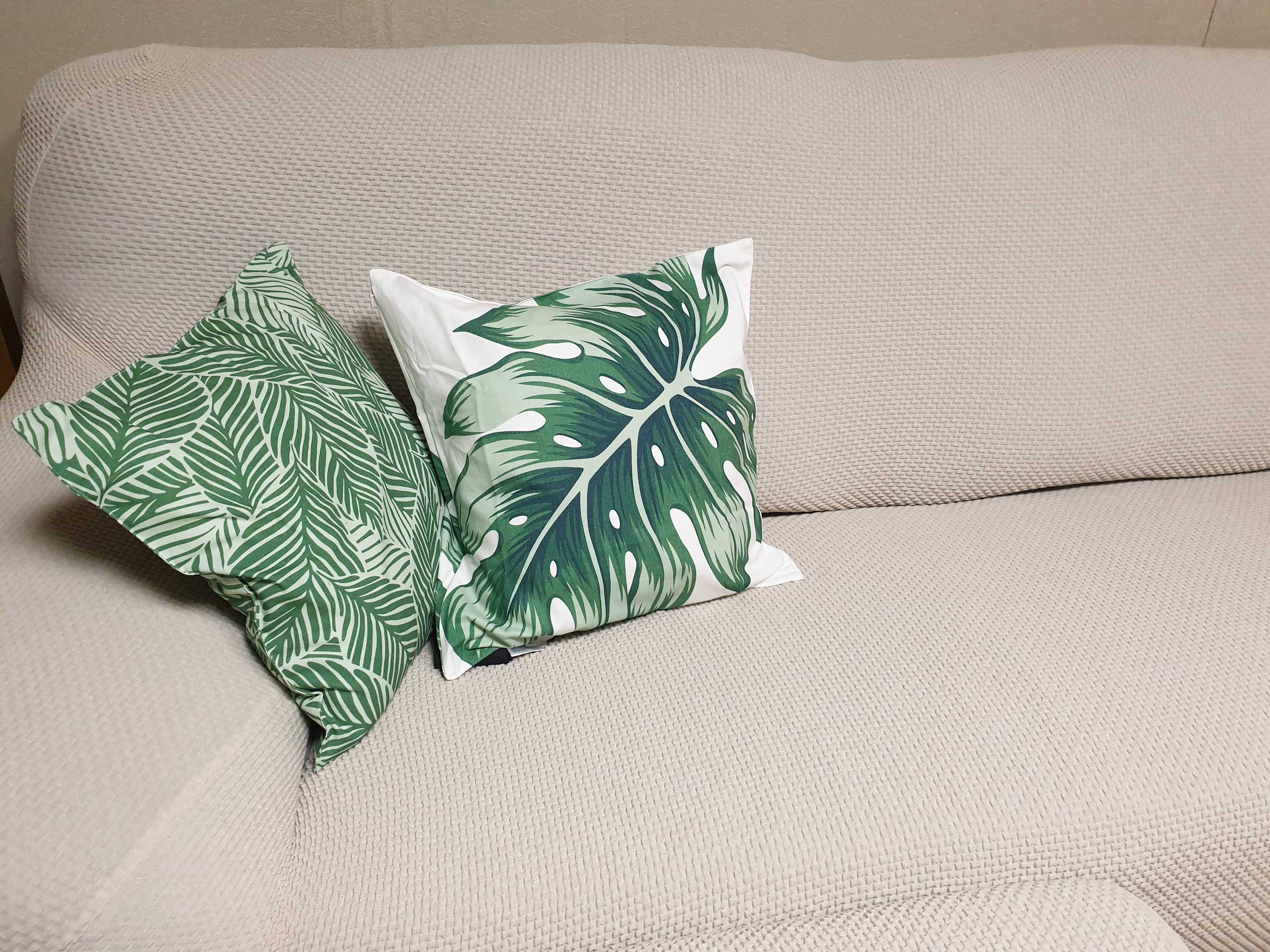 이미지를 찾을 수 없습니다.