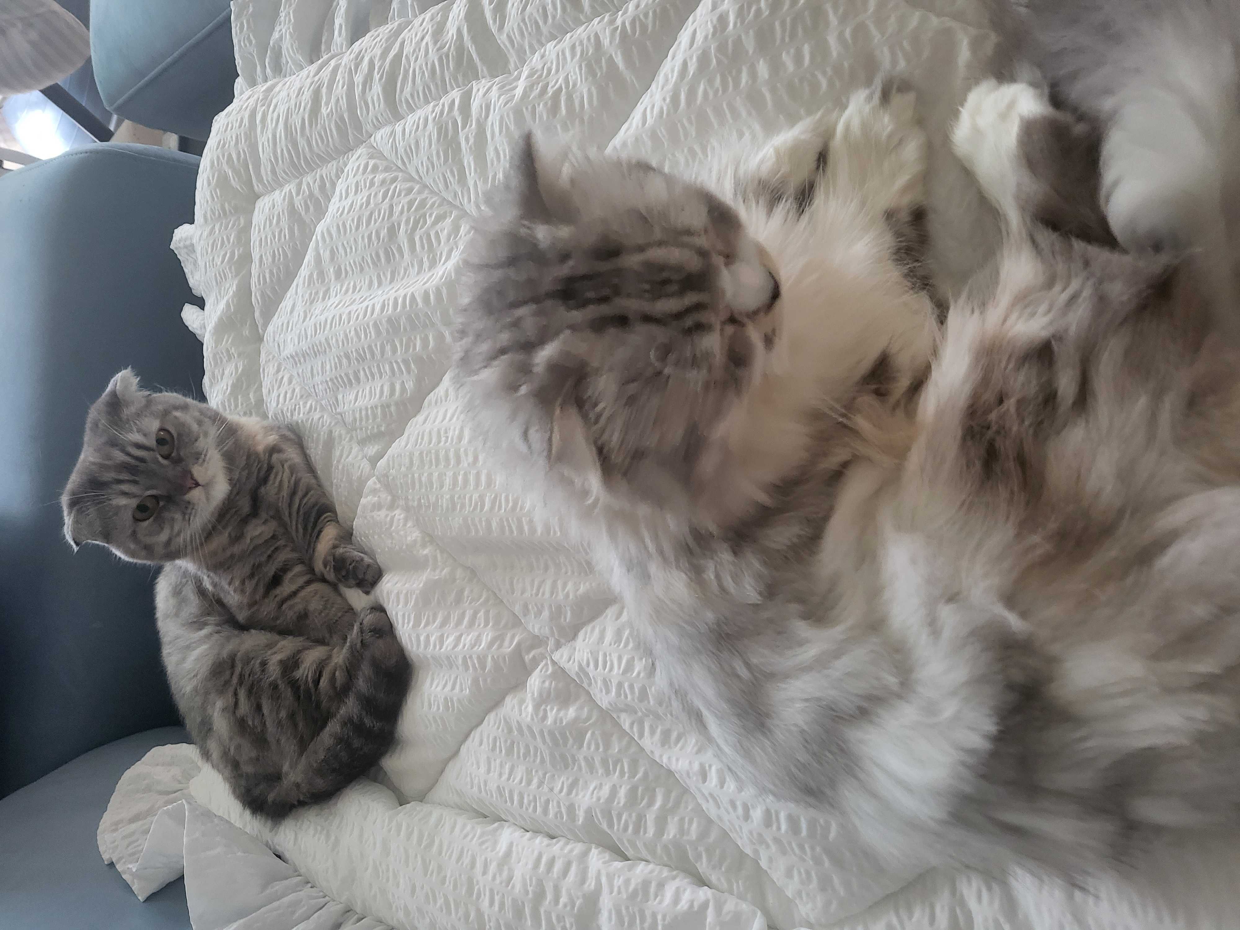 이미지를 찾을 수 없습니다.