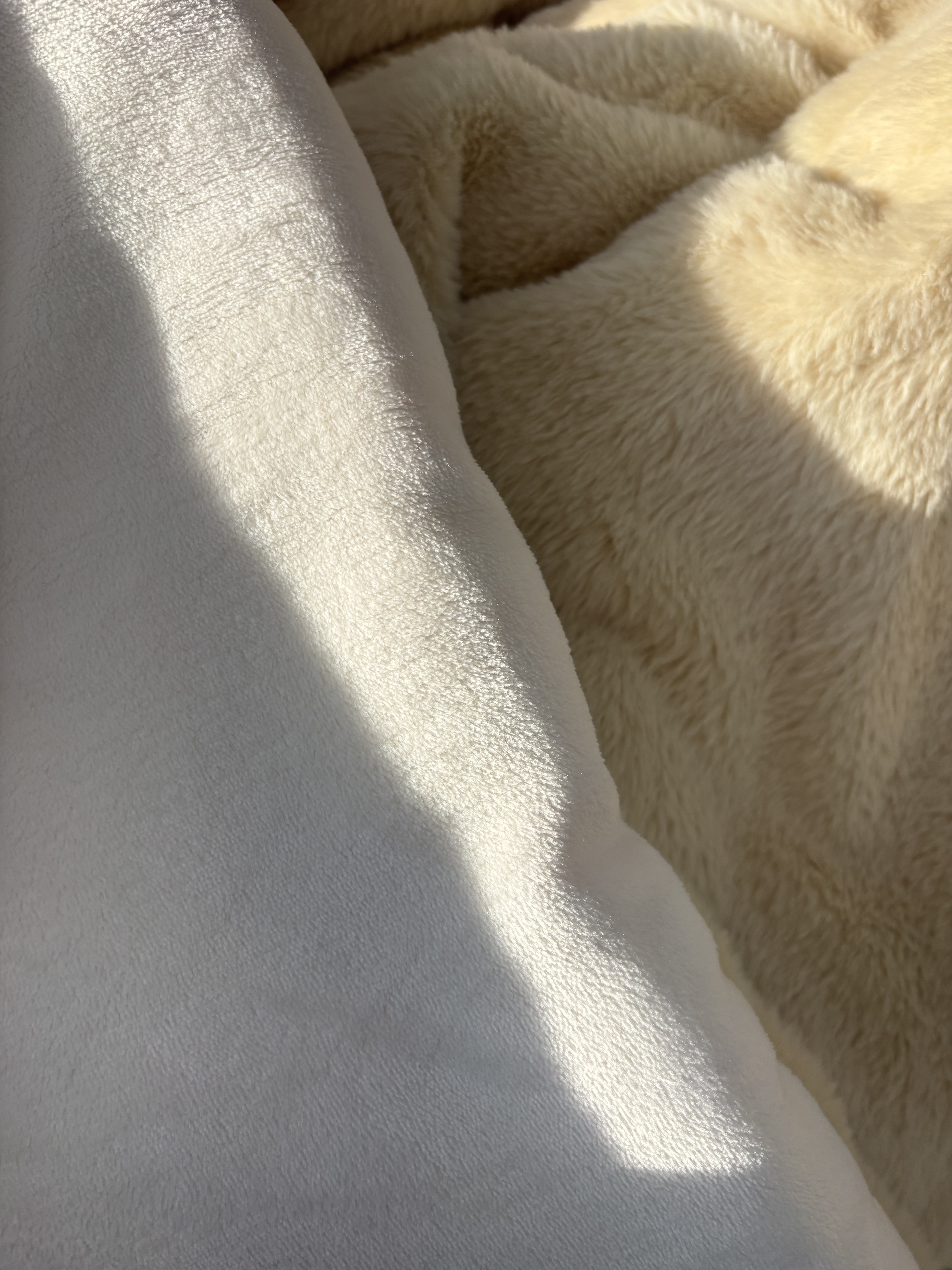 이미지를 찾을 수 없습니다.