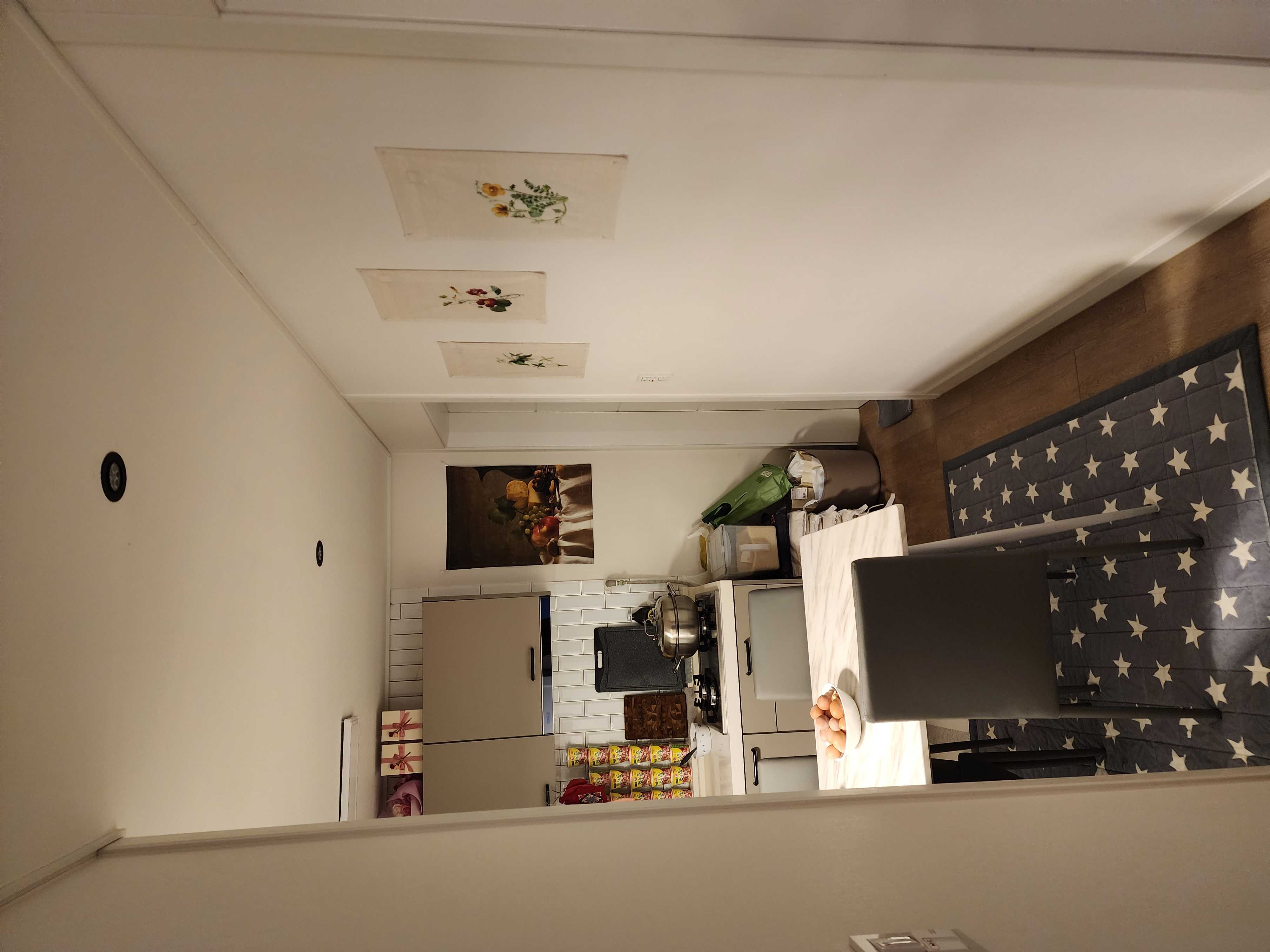 이미지를 찾을 수 없습니다.