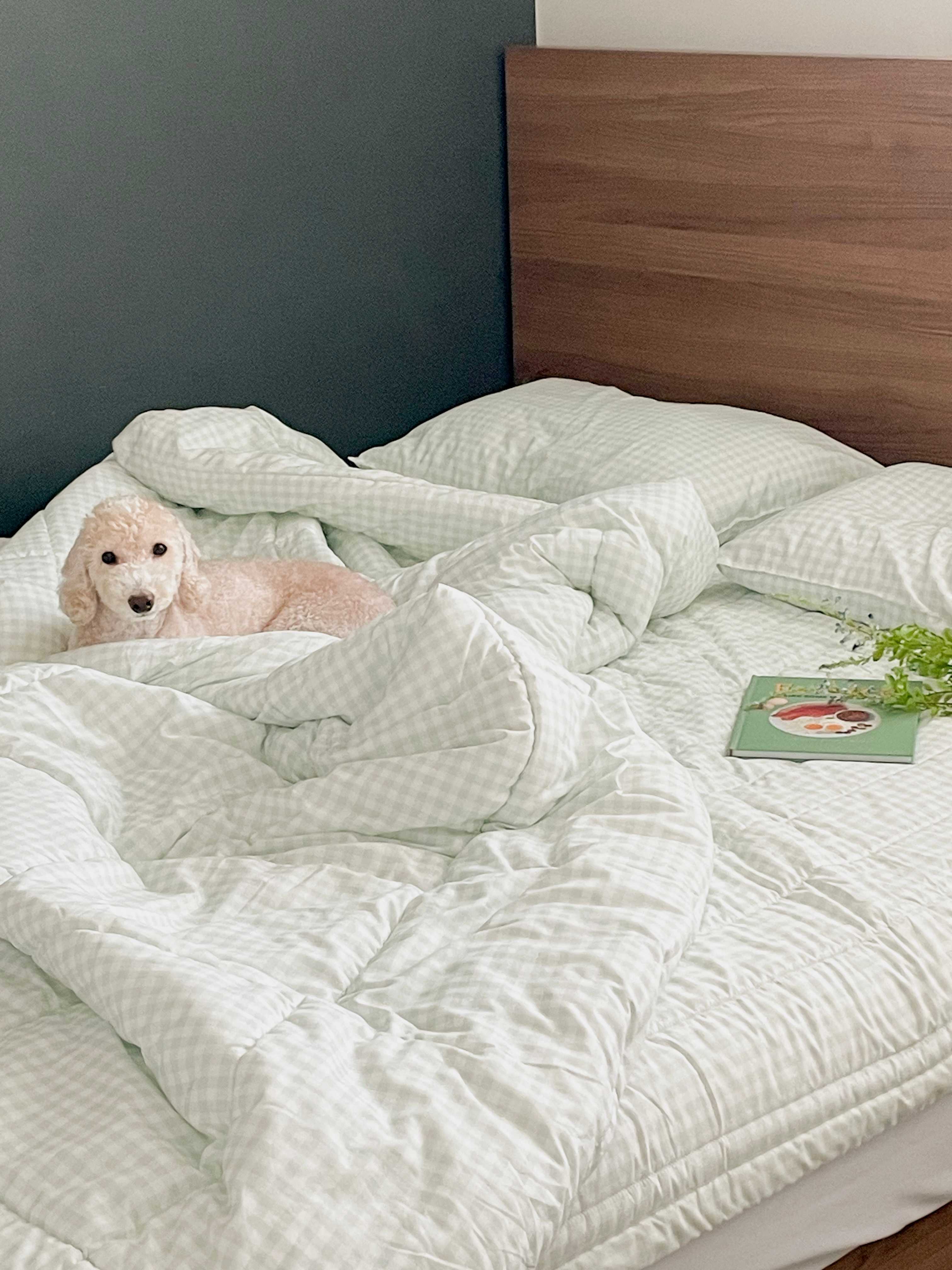 이미지를 찾을 수 없습니다.