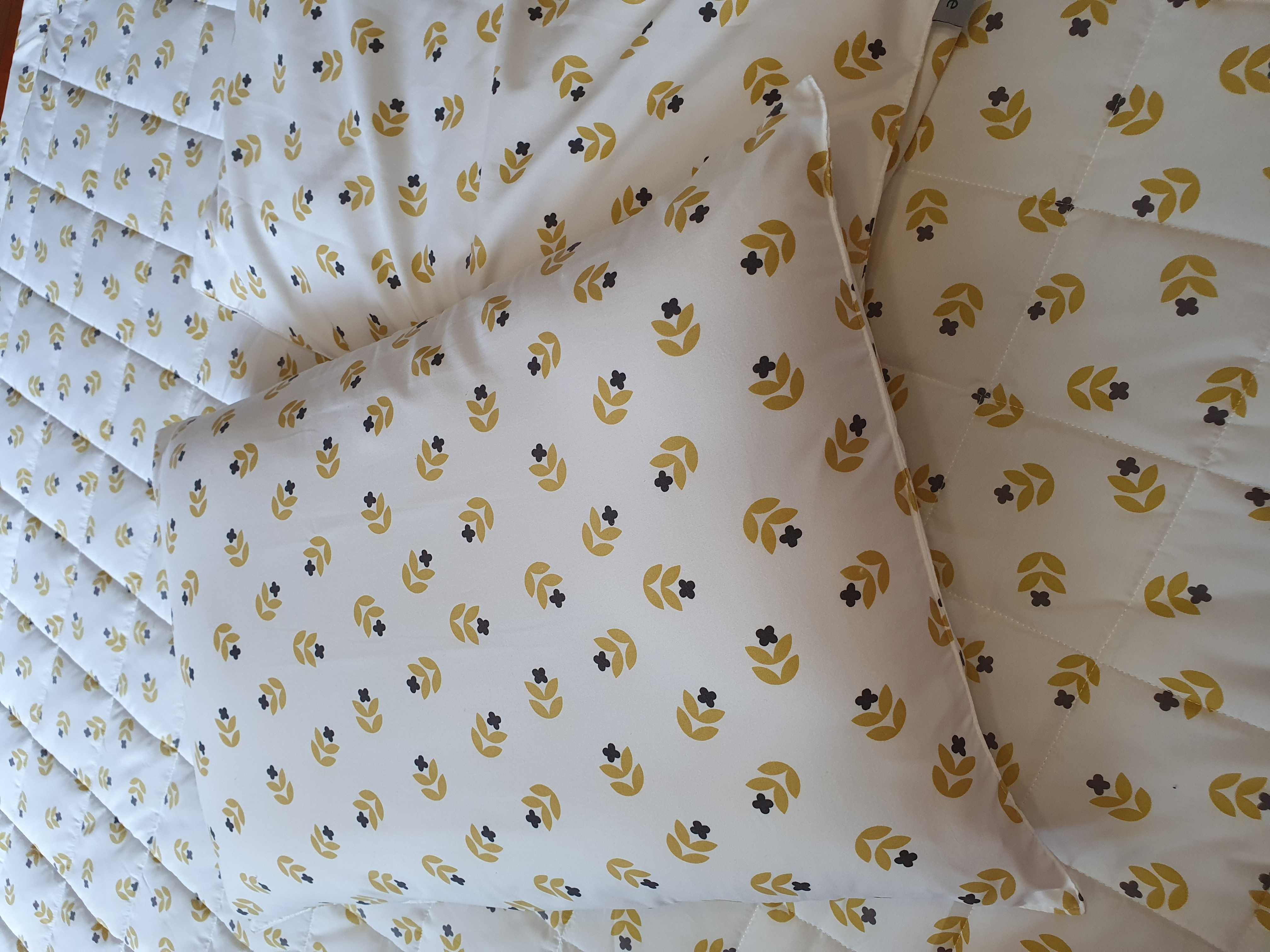 이미지를 찾을 수 없습니다.