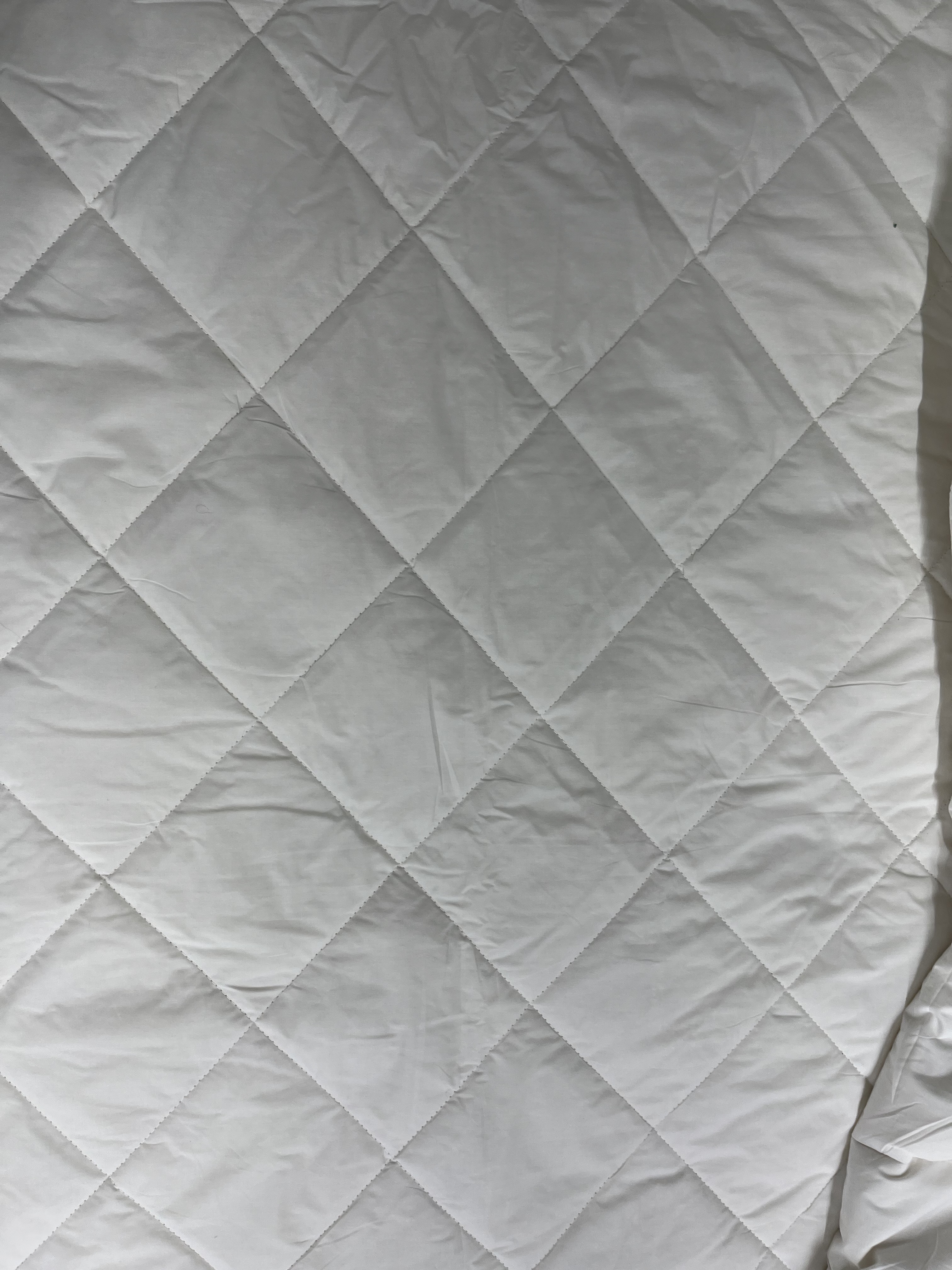 이미지를 찾을 수 없습니다.