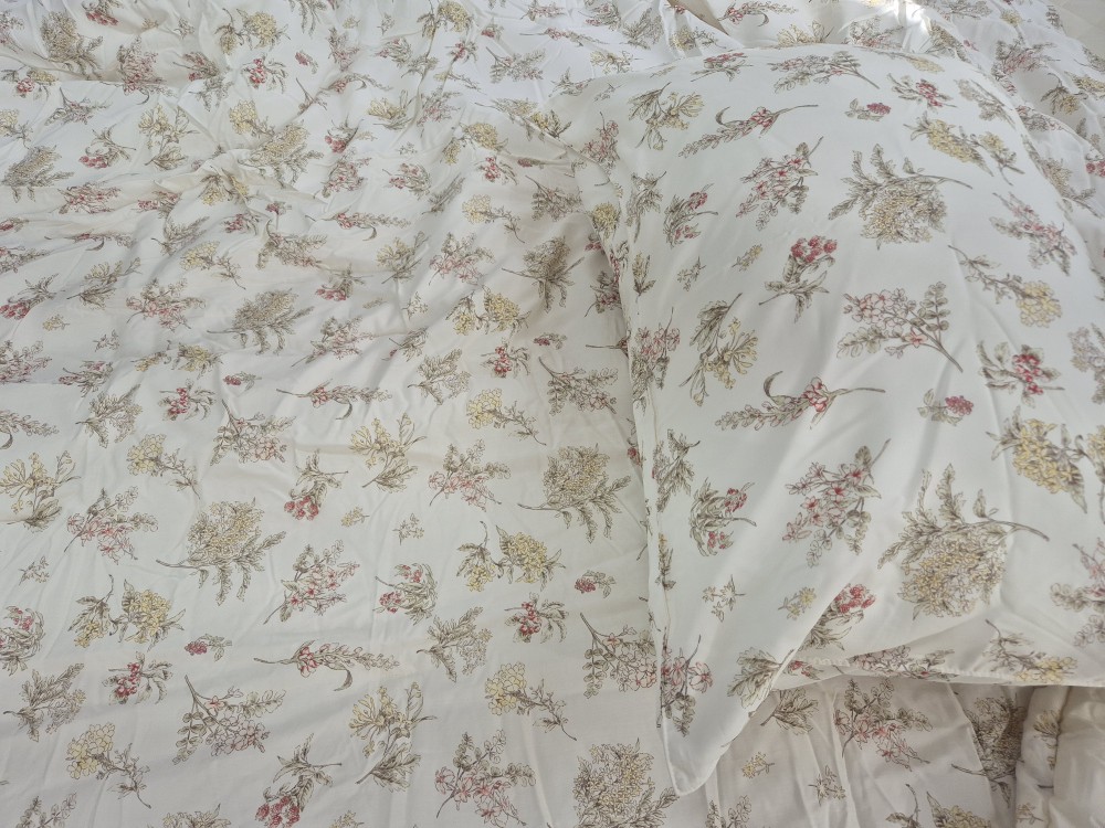 이미지를 찾을 수 없습니다.