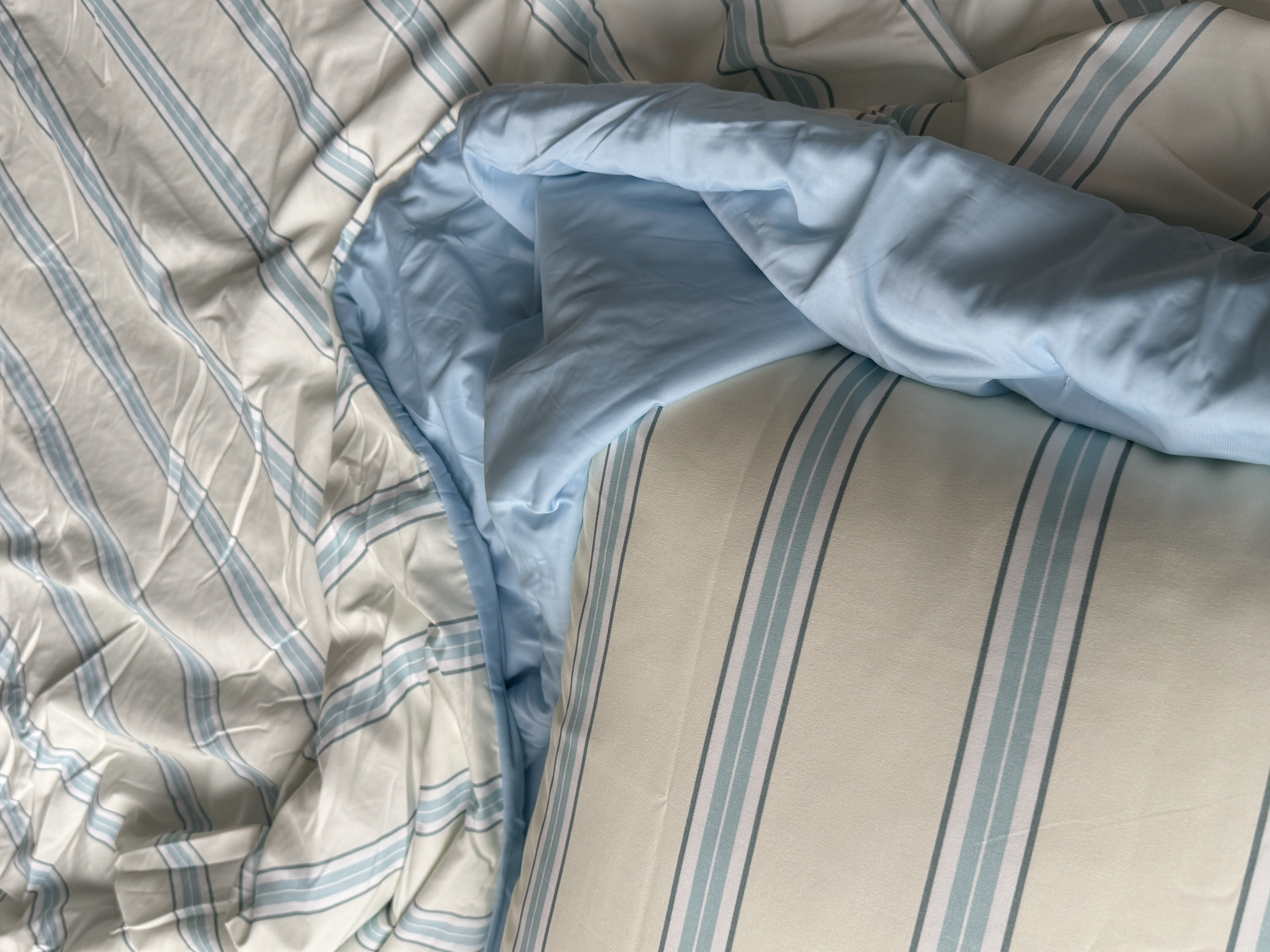 이미지를 찾을 수 없습니다.