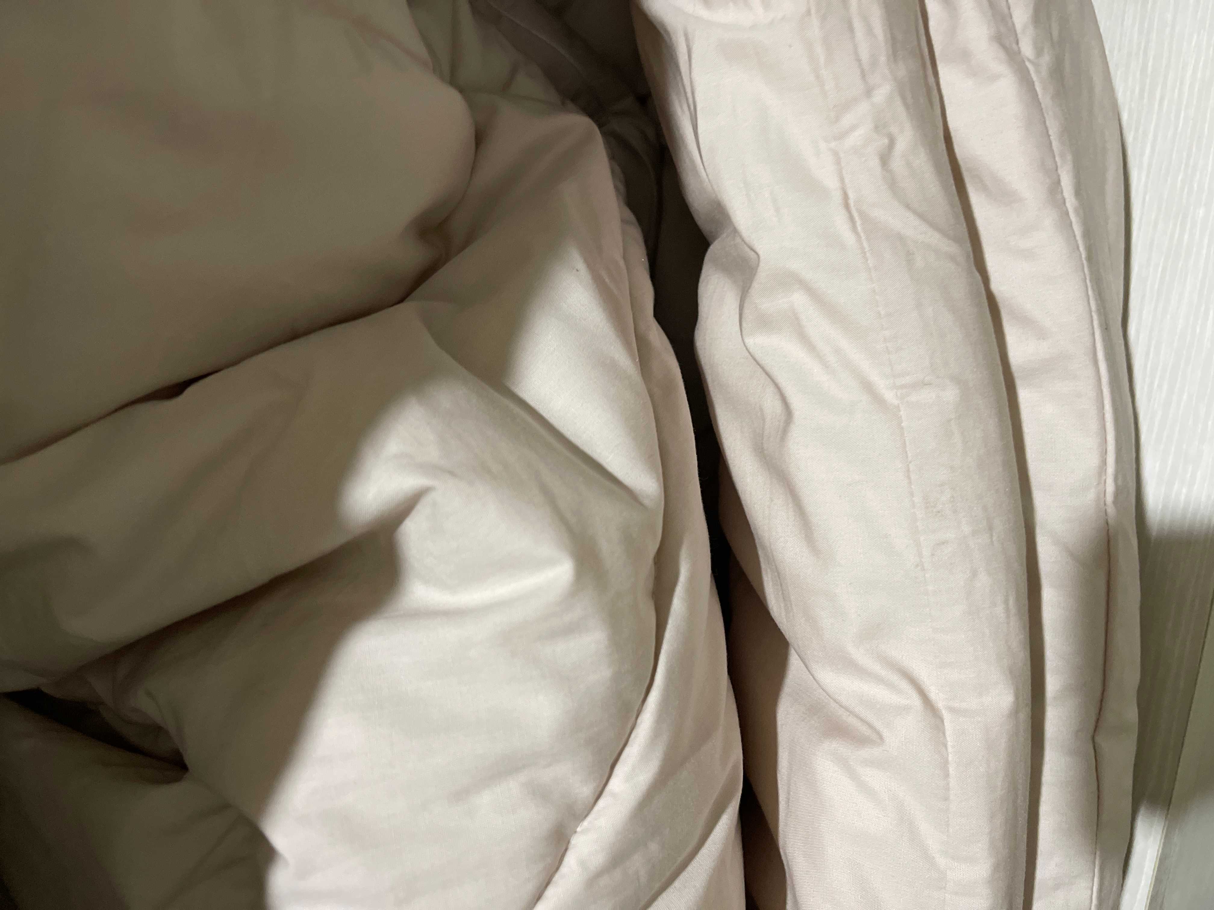 이미지를 찾을 수 없습니다.