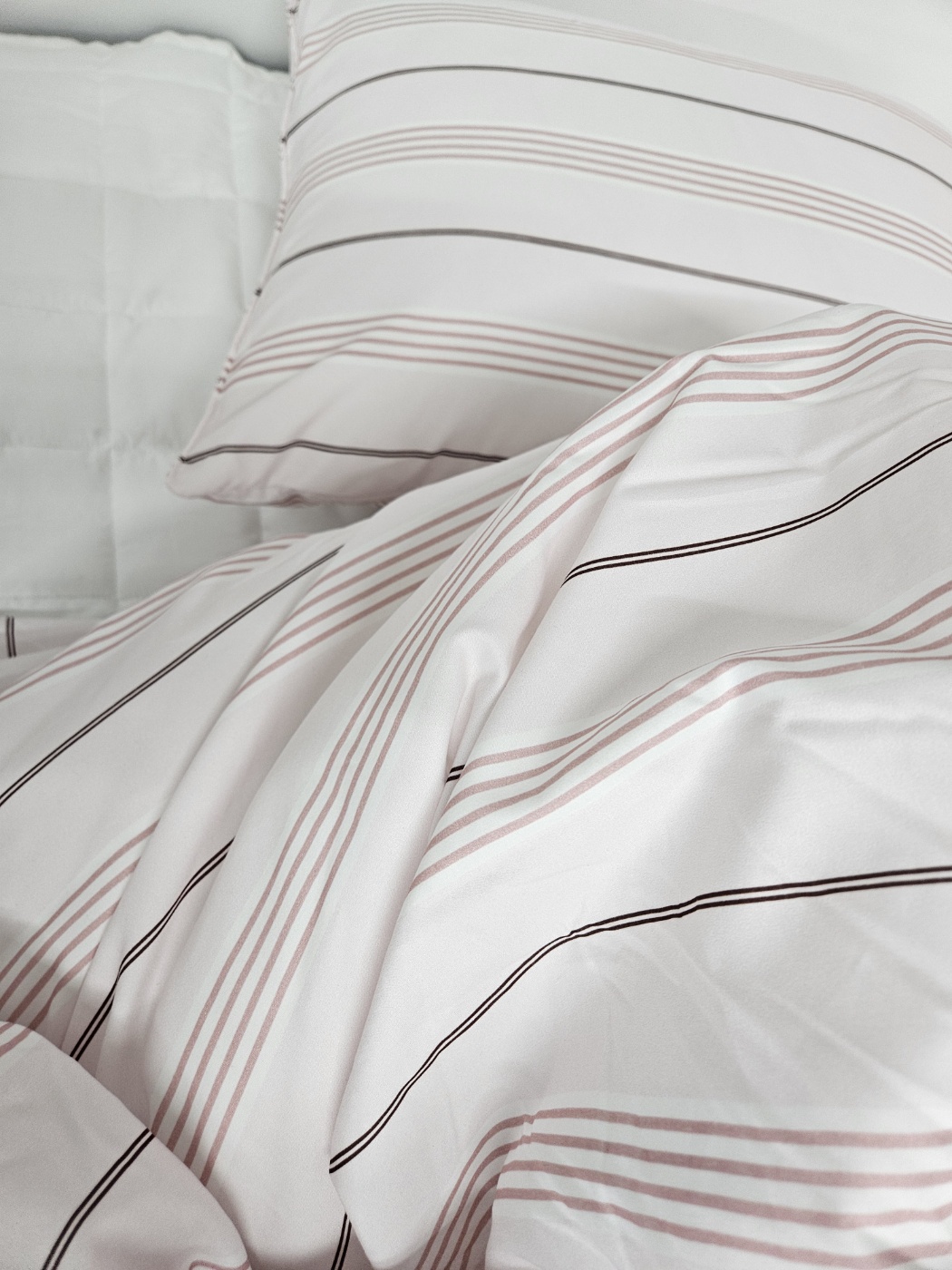 이미지를 찾을 수 없습니다.