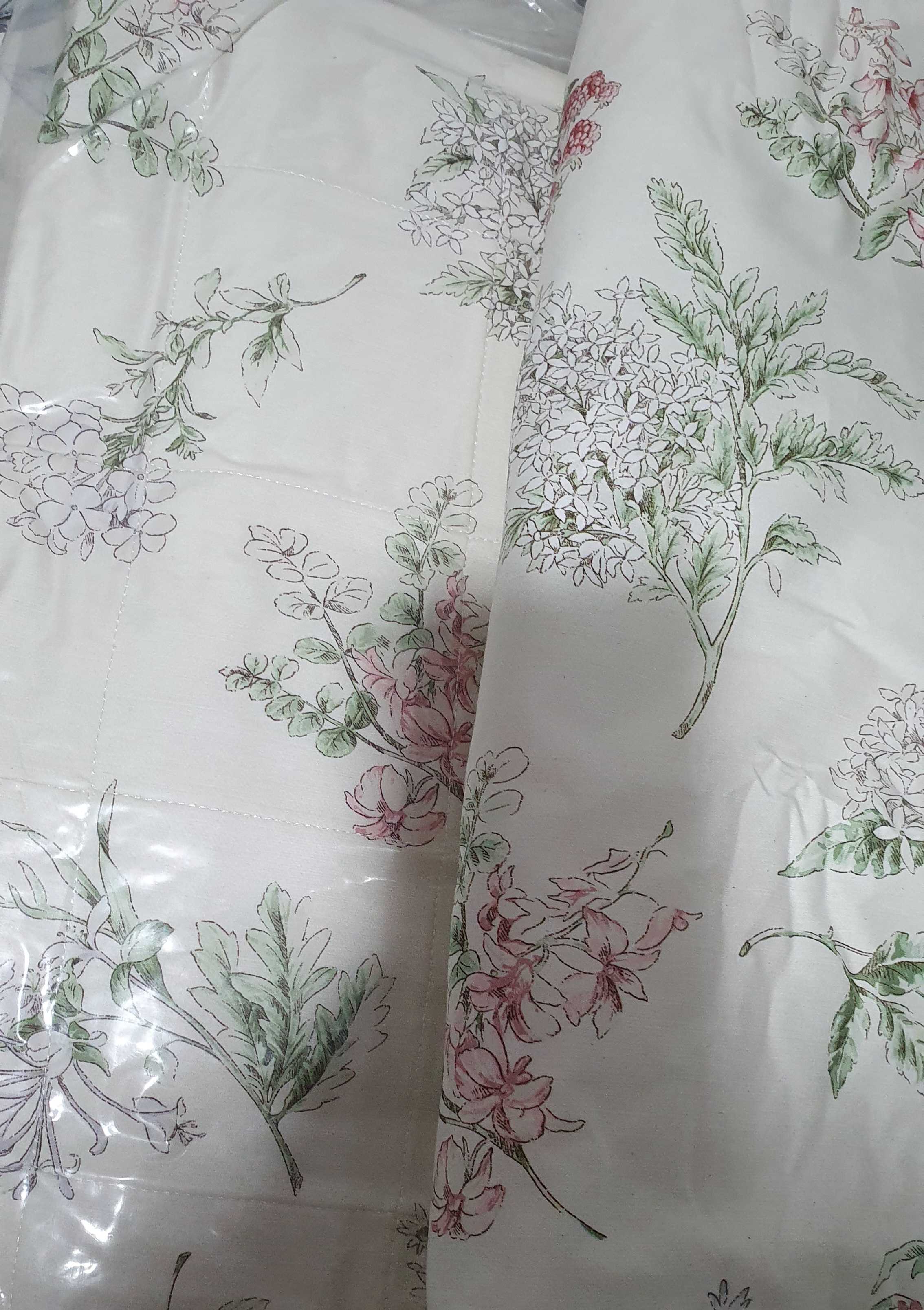 이미지를 찾을 수 없습니다.